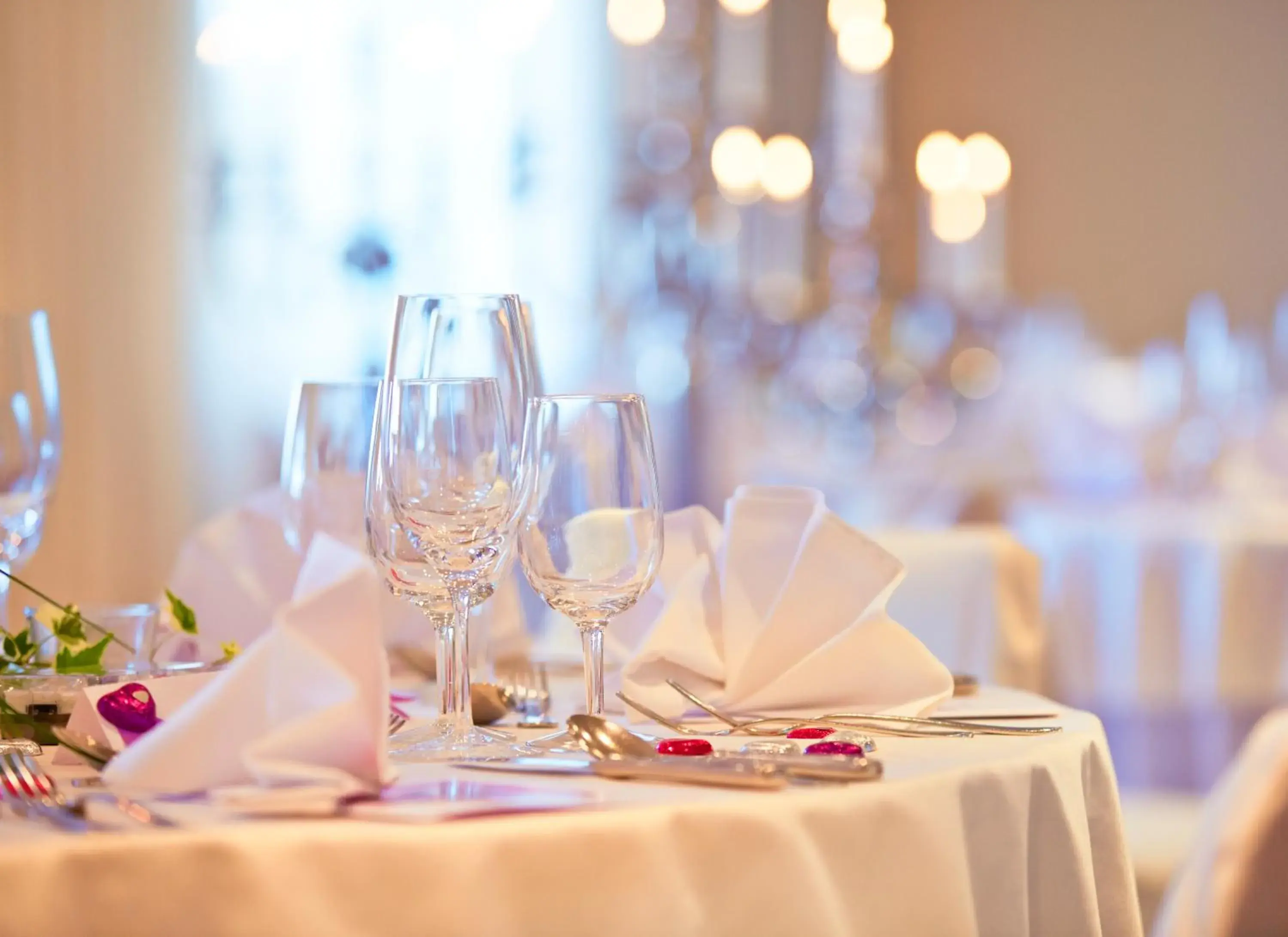 Banquet/Function facilities, Restaurant/Places to Eat in Hotel Wassberg