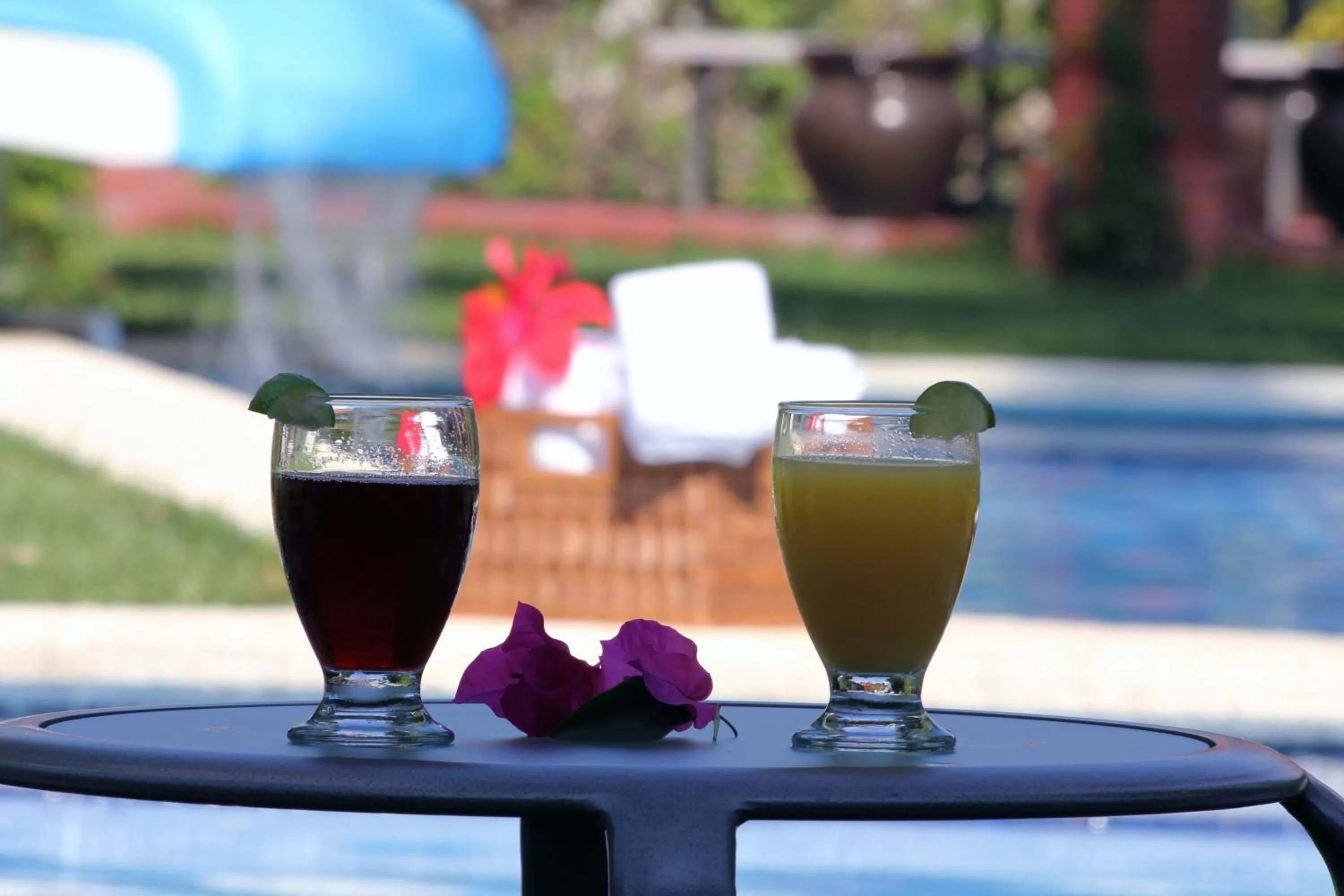 Restaurant/places to eat in Hotel La Villa Real