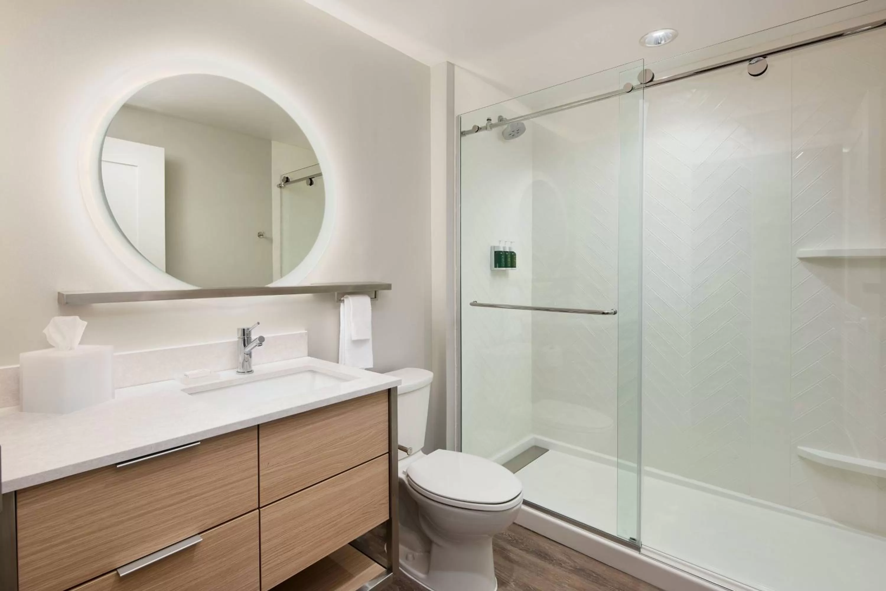 Bathroom in TownePlace Suites by Marriott Tampa Casino Area