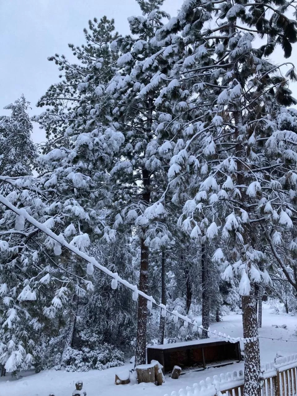 Patio in The Old Bear BnB