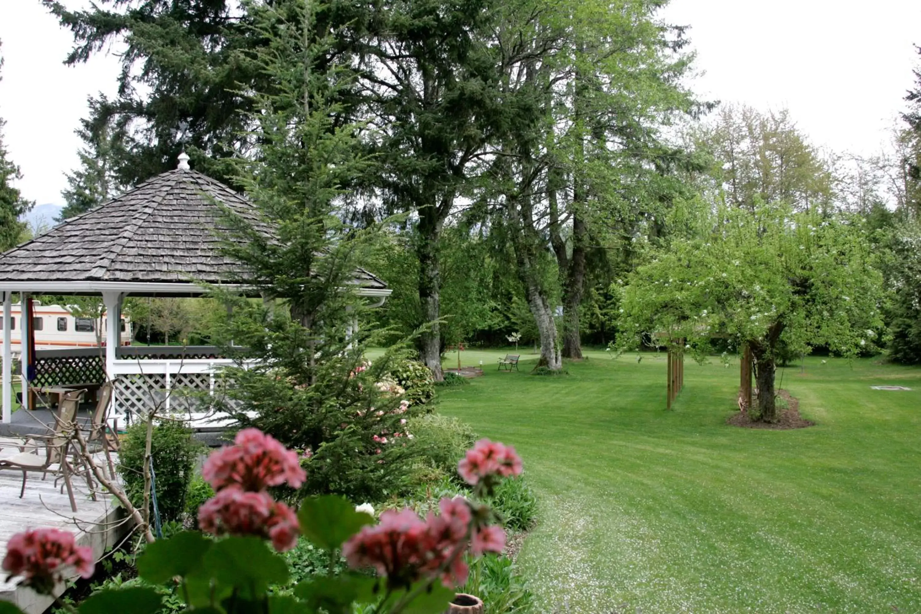 Garden in Hummingbird Guesthouse