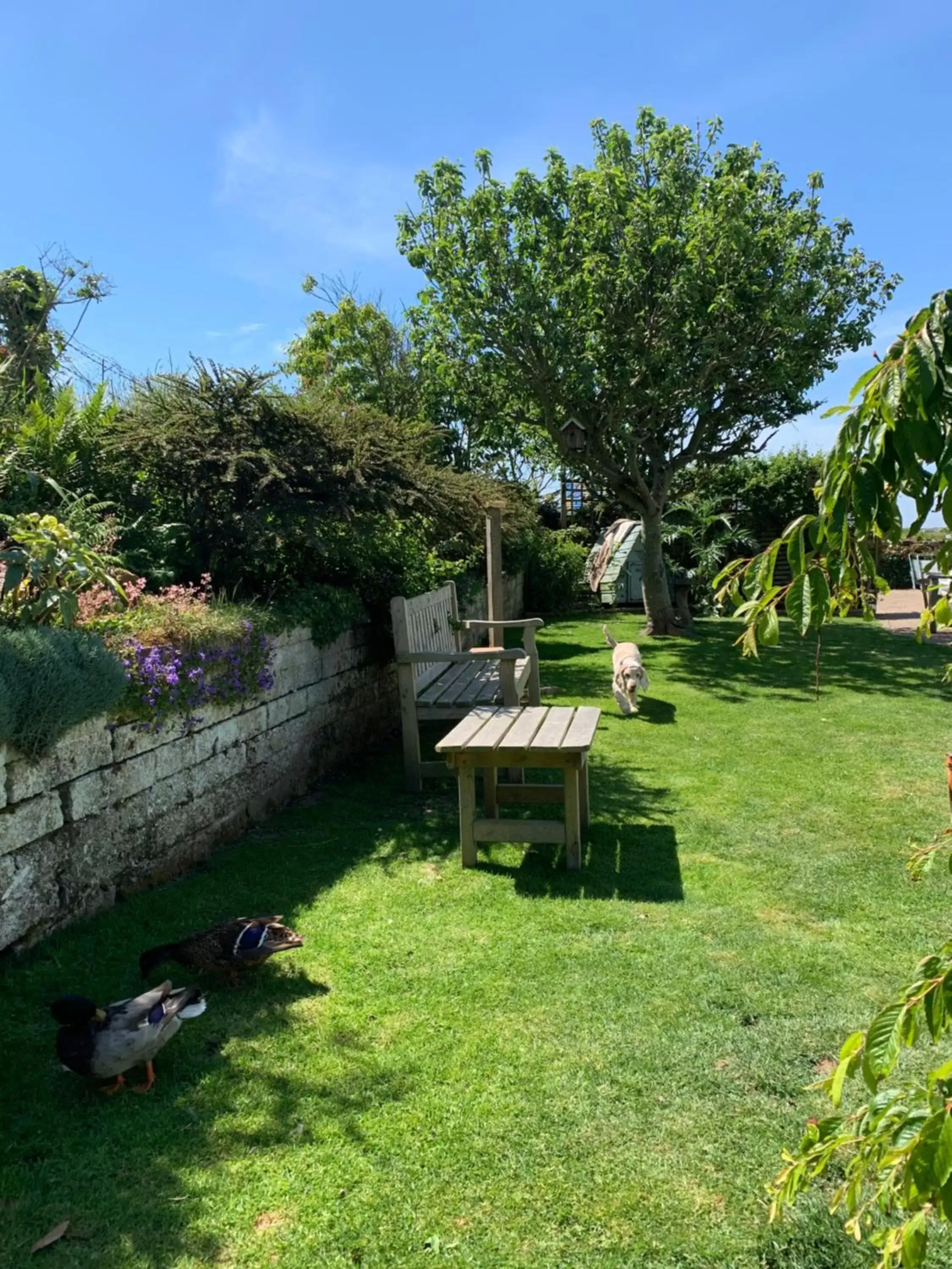 Garden in Ramsey House