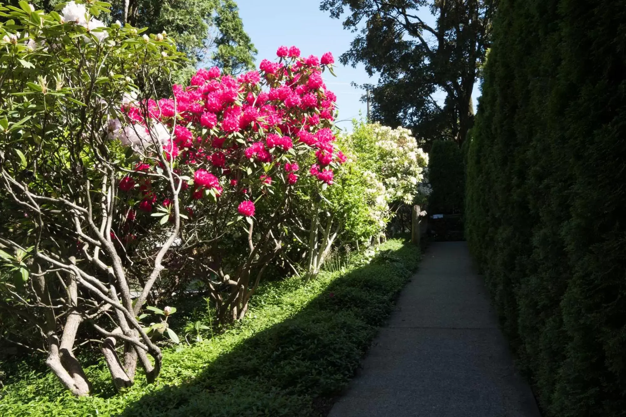 Facade/entrance, Garden in Bramblebank Cottages