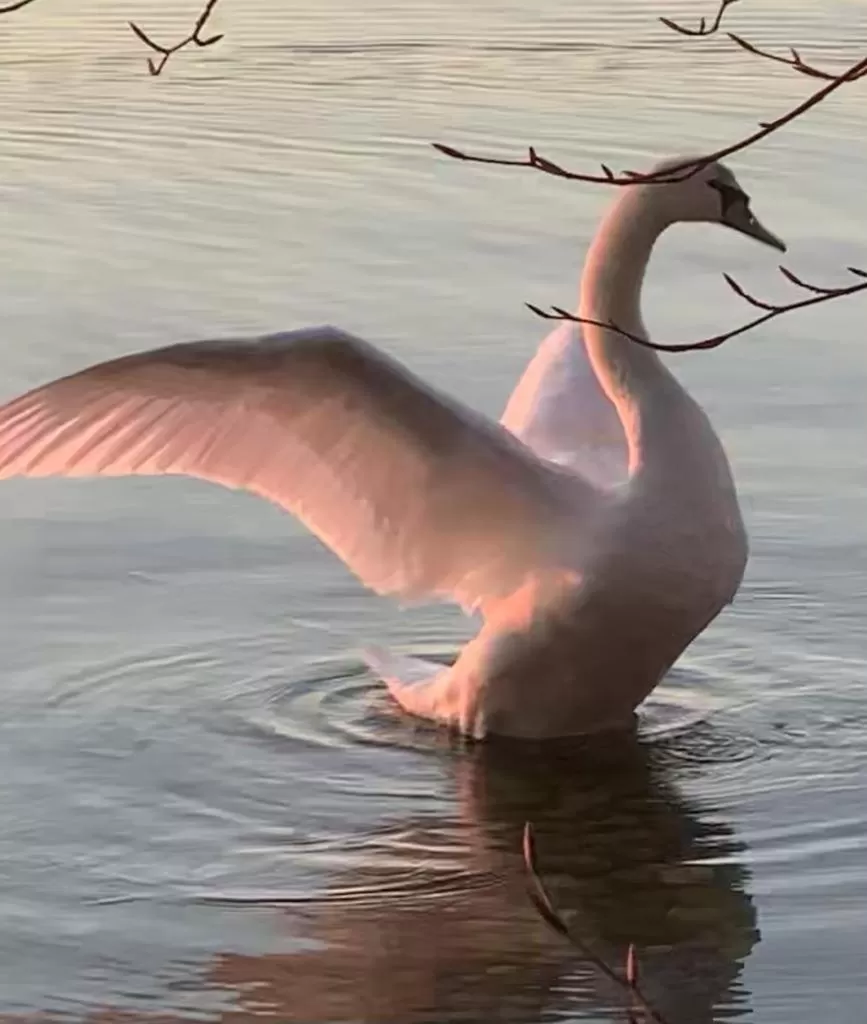 Natural landscape in Bed and Breakfast Bavaria München