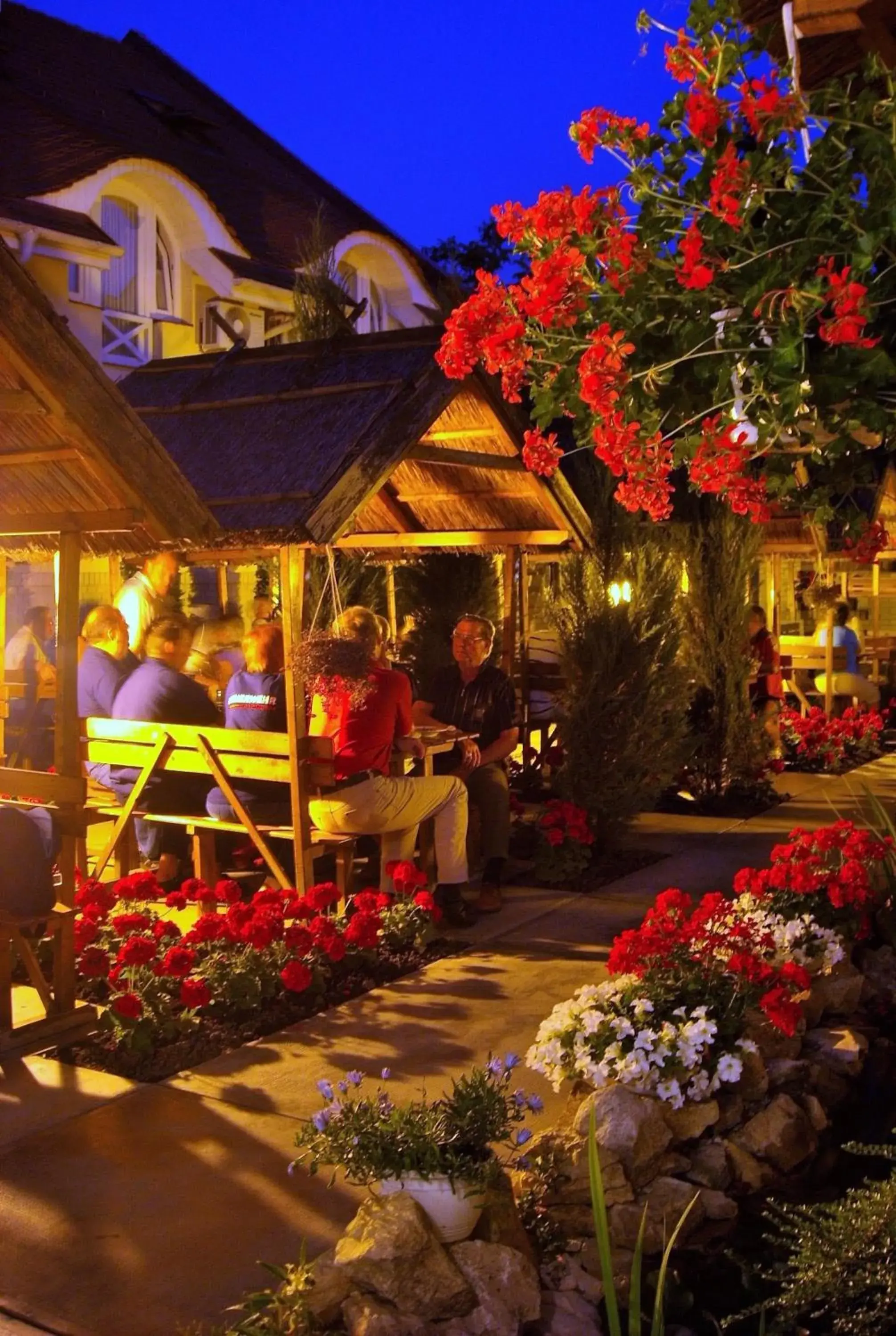 Patio in Fodor Hotel