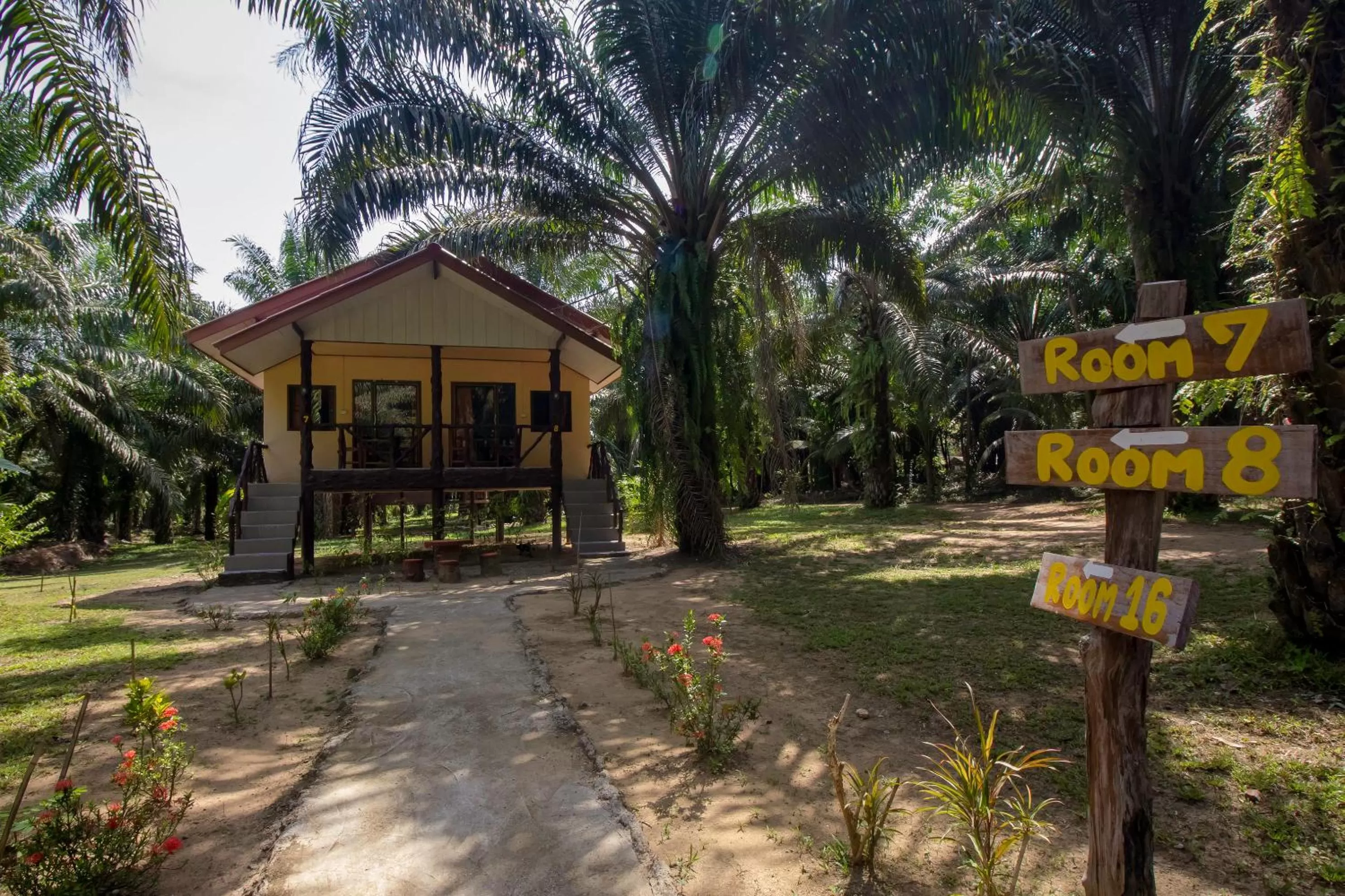 Property building in Khao Sok Palmview Resort