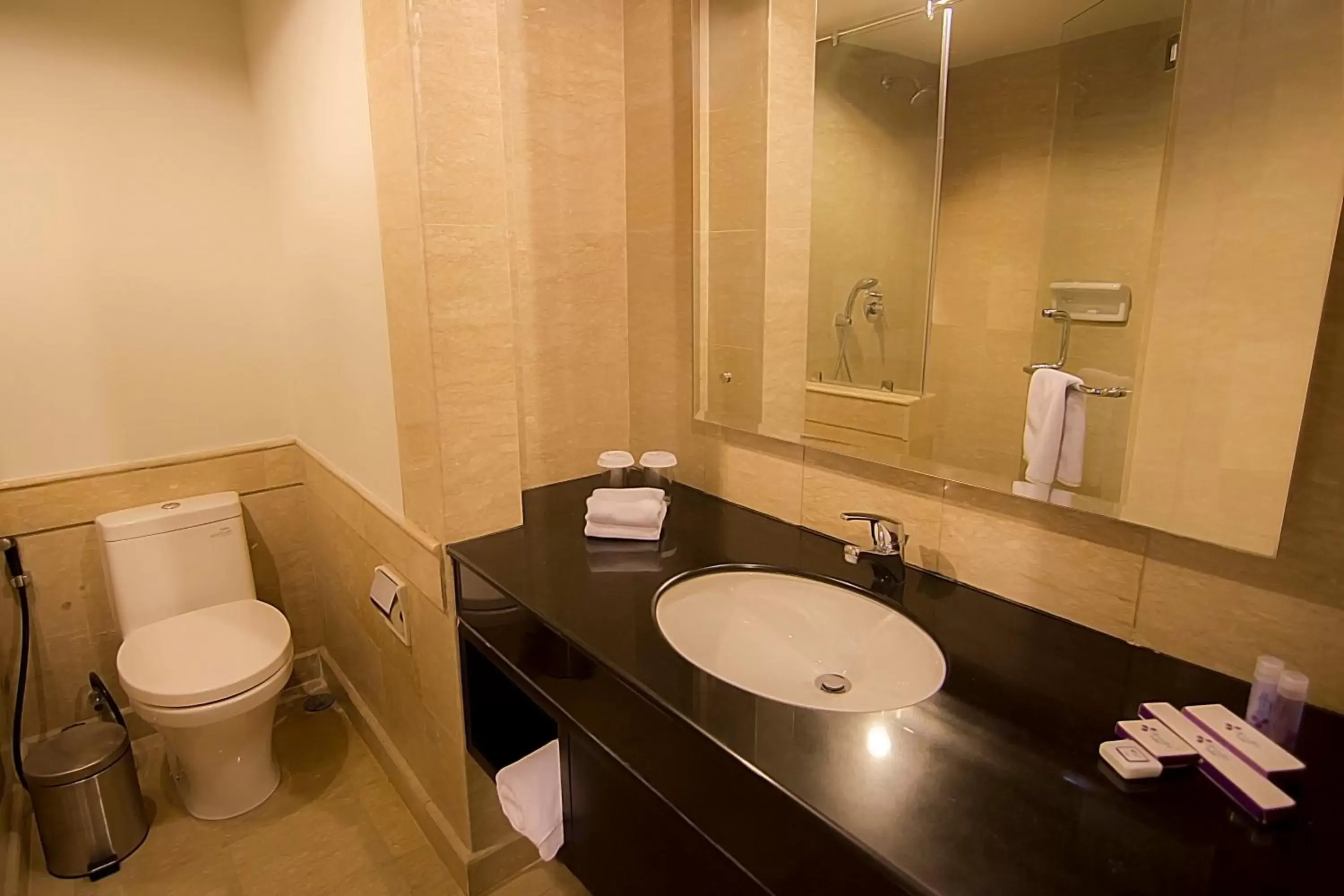 Bathroom in Diradja Hotel Indonesia