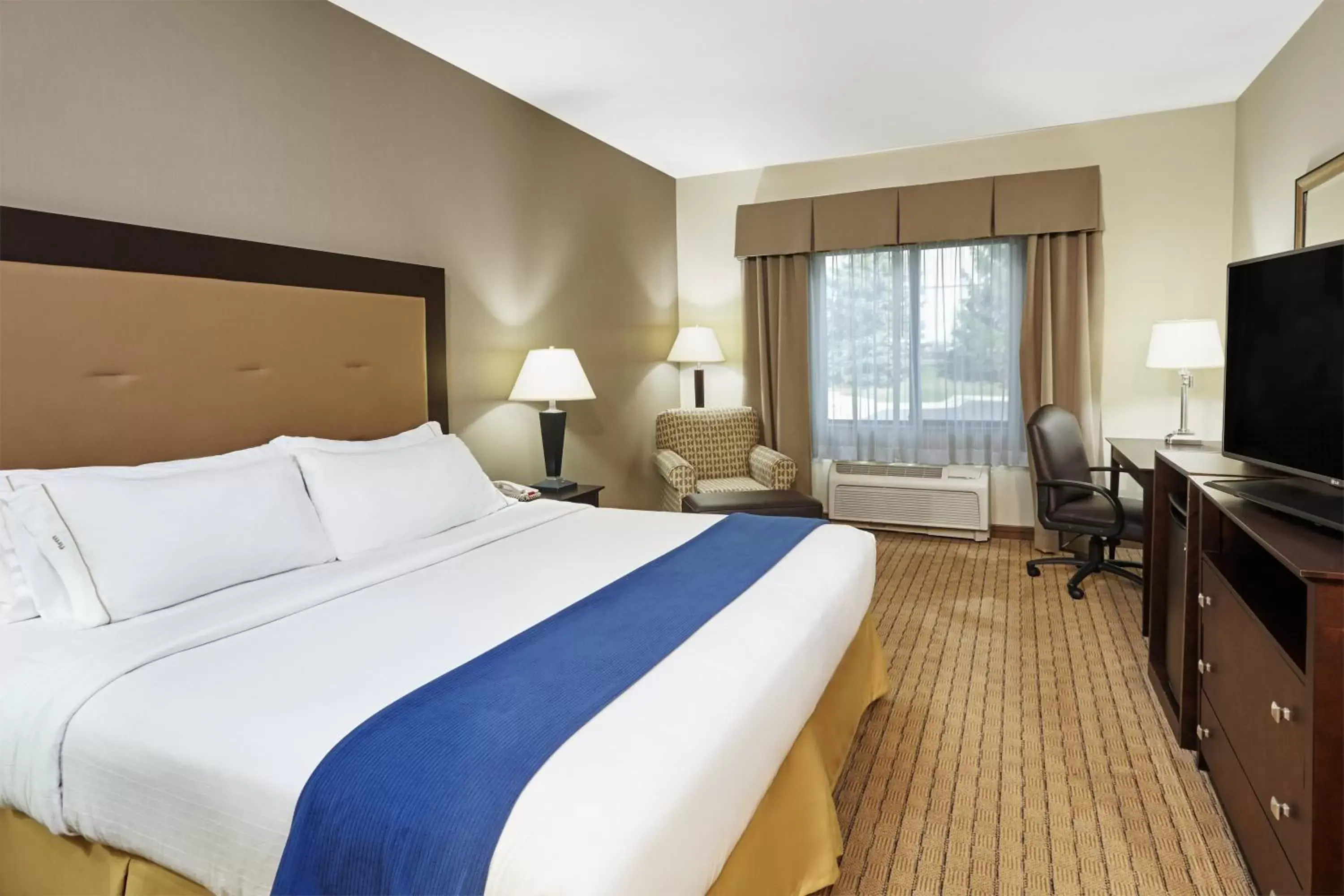 Photo of the whole room, Bed in Holiday Inn Express & Suites Madison-Verona, an IHG Hotel