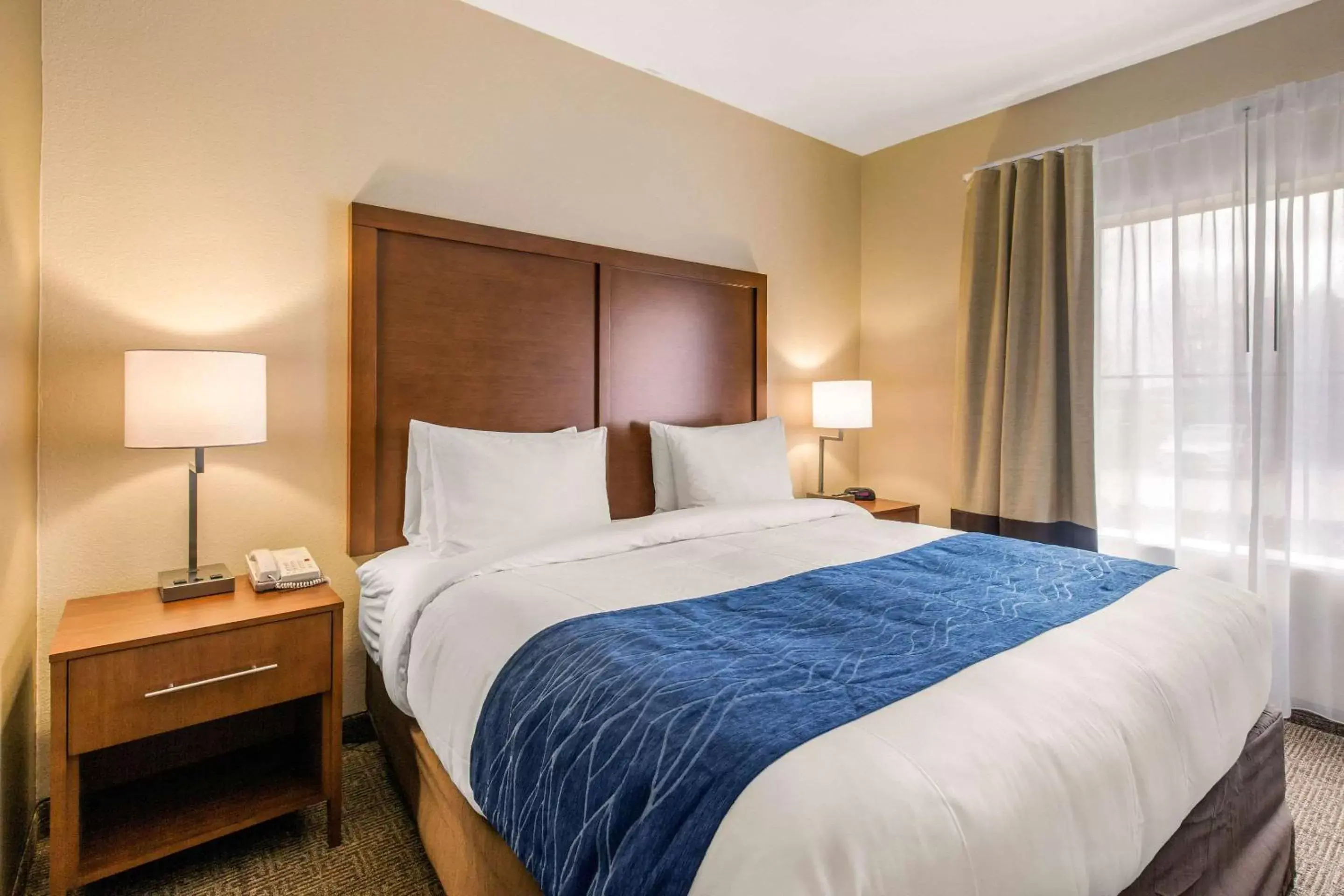 Bedroom, Bed in Comfort Inn & Suites IAH Bush Airport – East