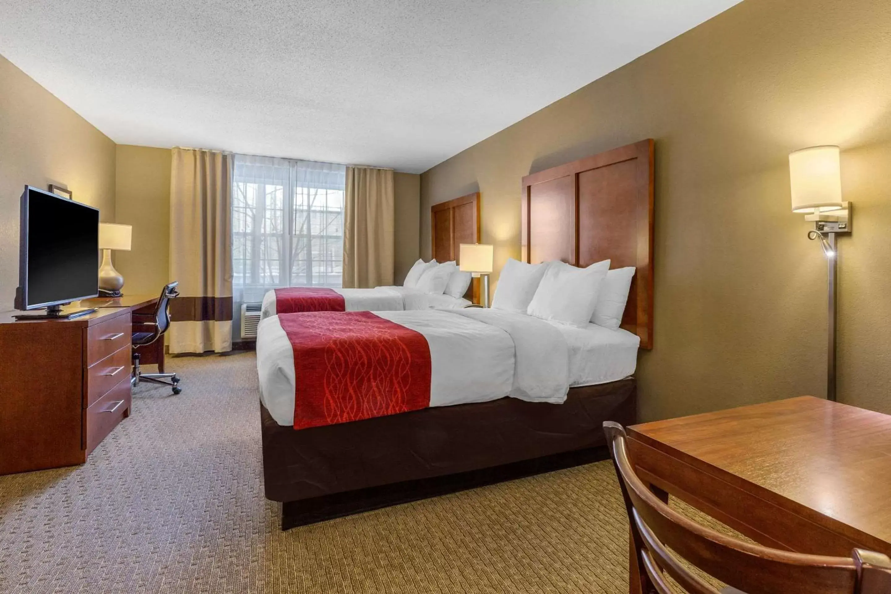 Photo of the whole room in Comfort Inn & Suites