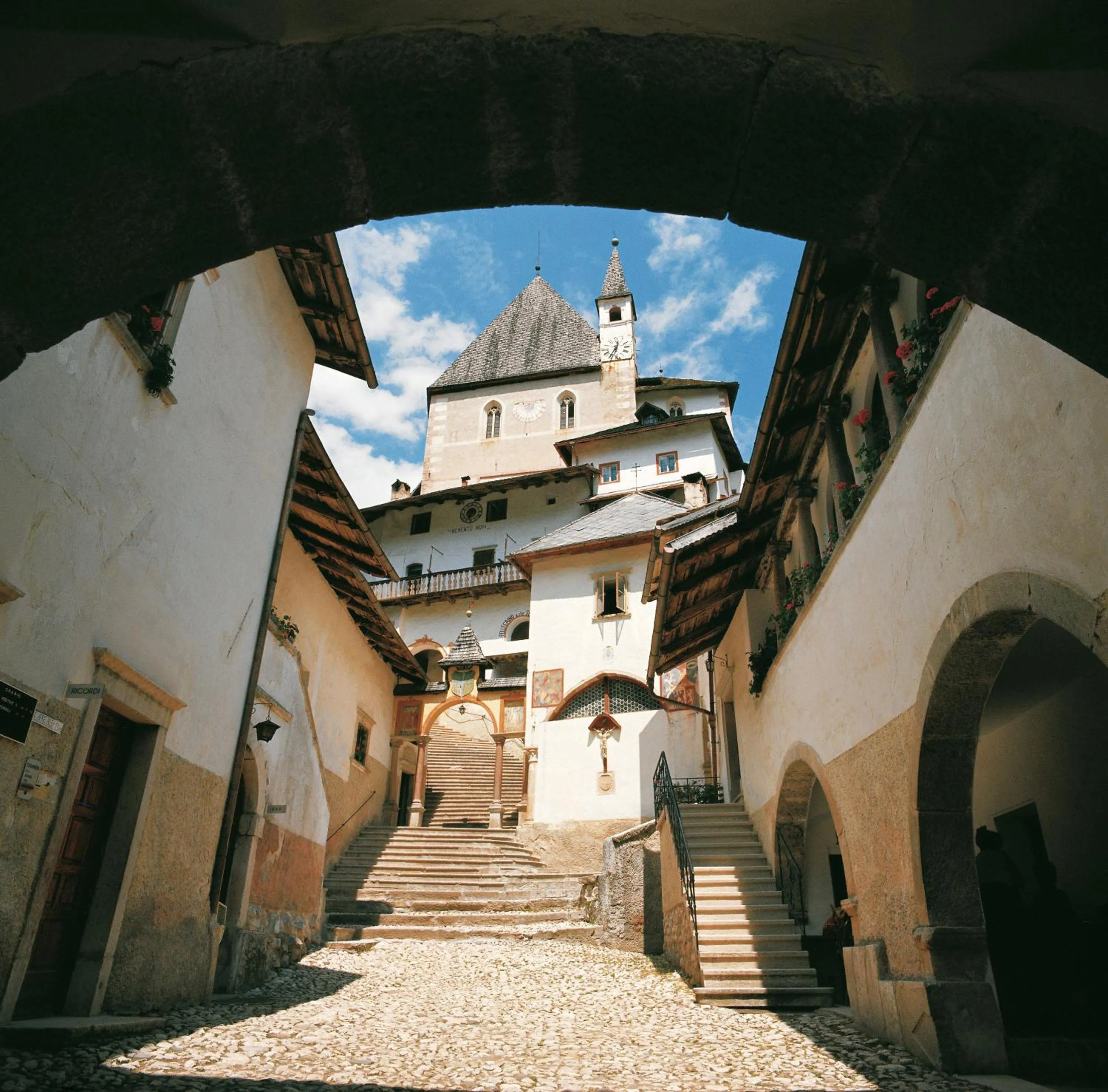 Activities in Pineta Nature Resort - Wellness & SPA