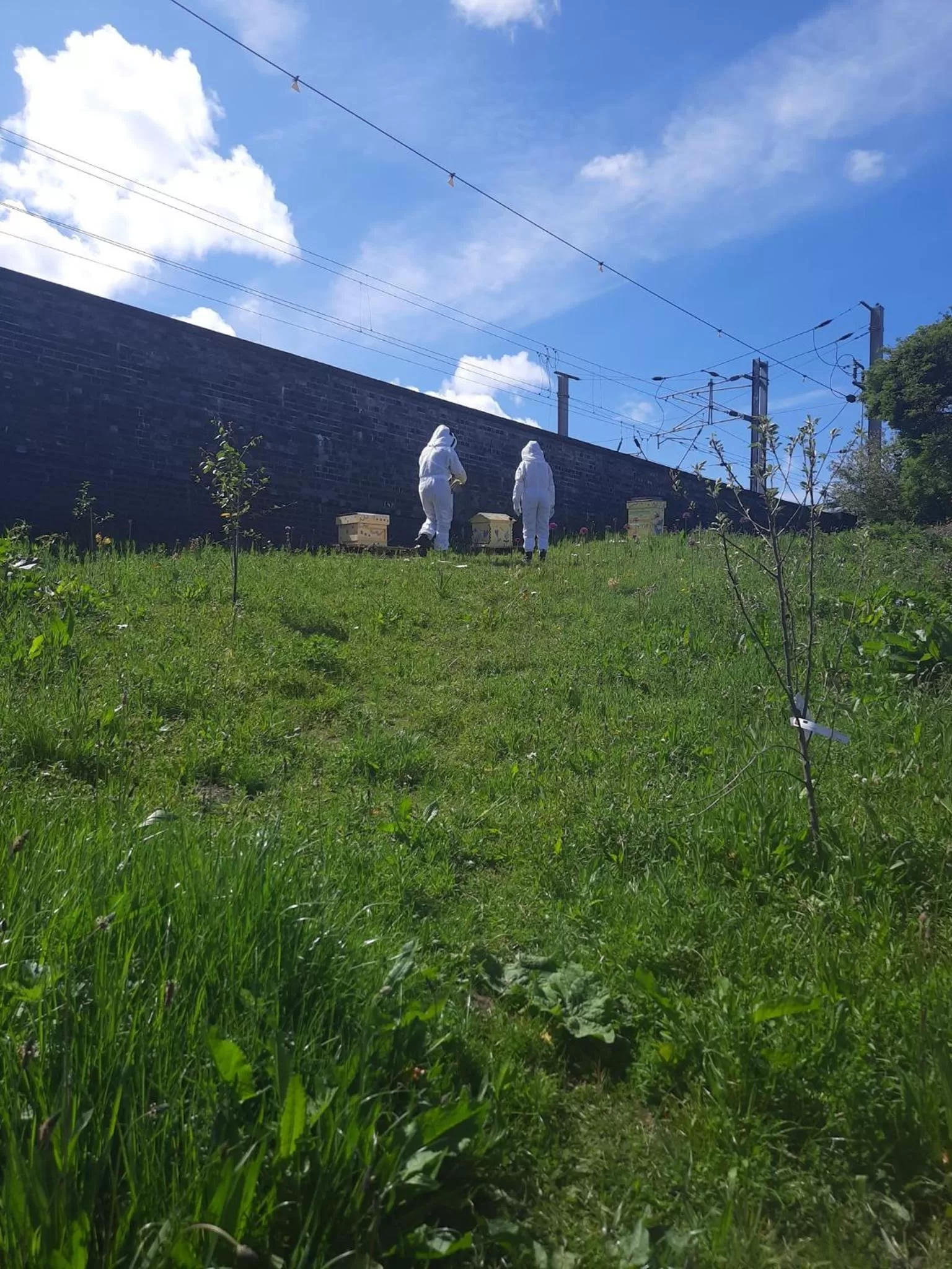 Swan & Railway Hotel Wigan