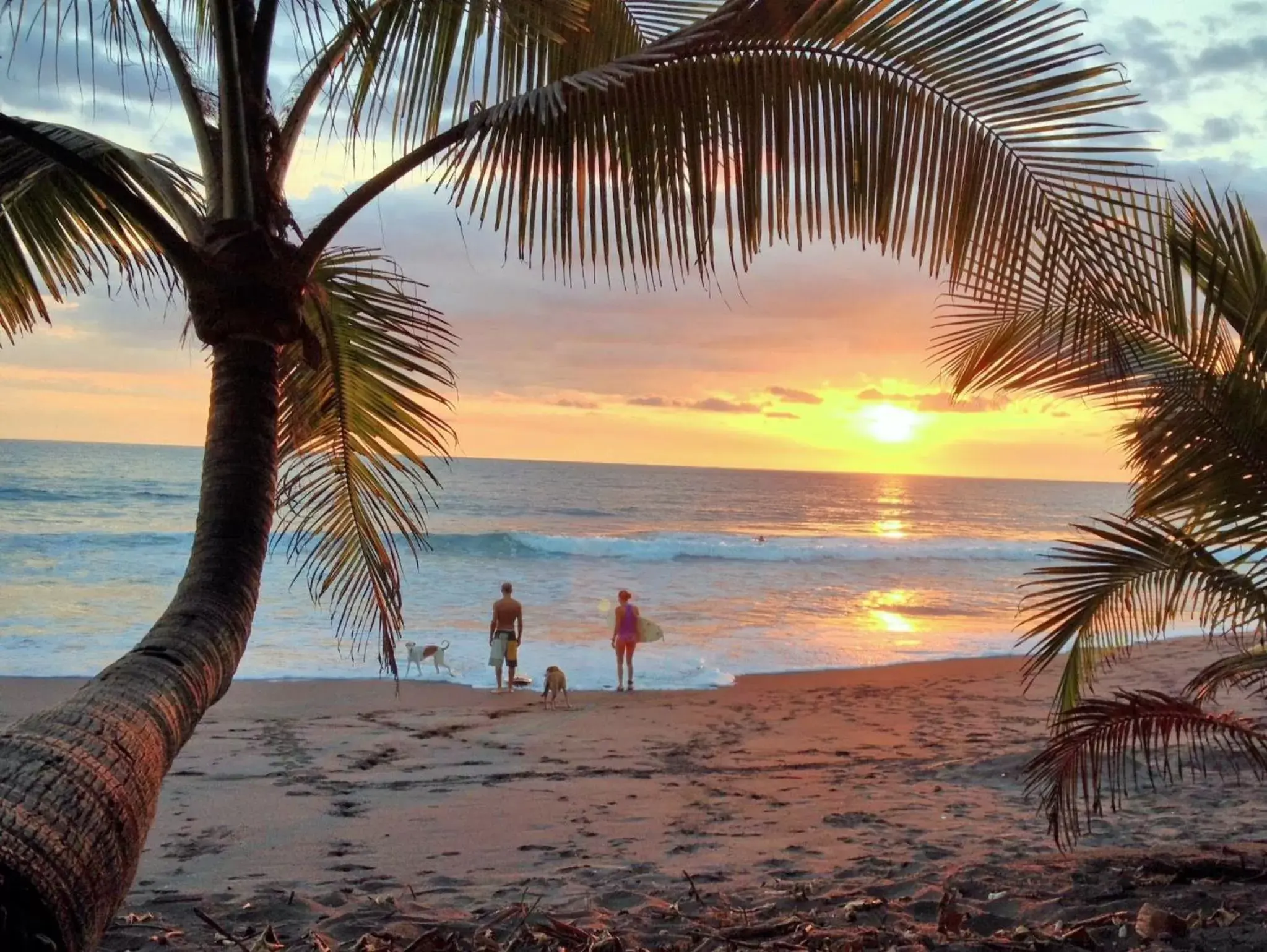 Beach in Hotel Beachfront Vista Hermosa