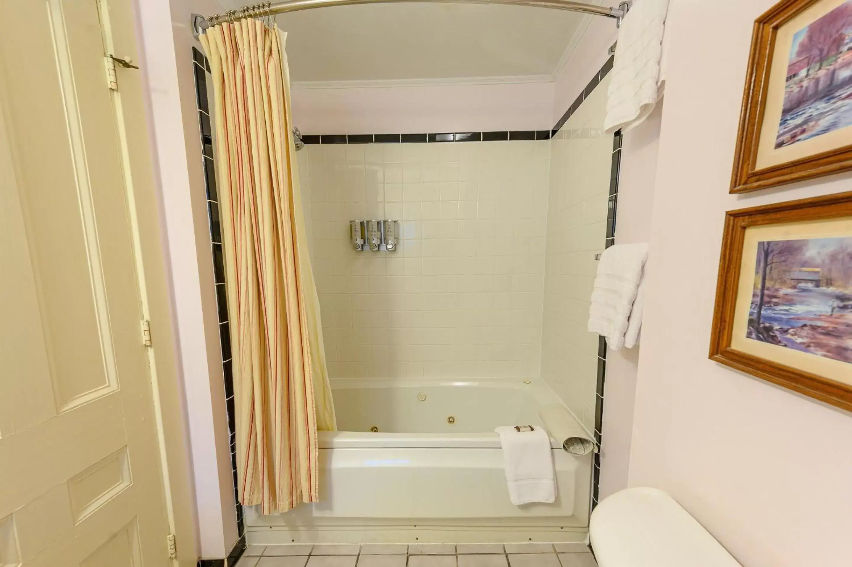 Bathroom in Brass Lantern Inn