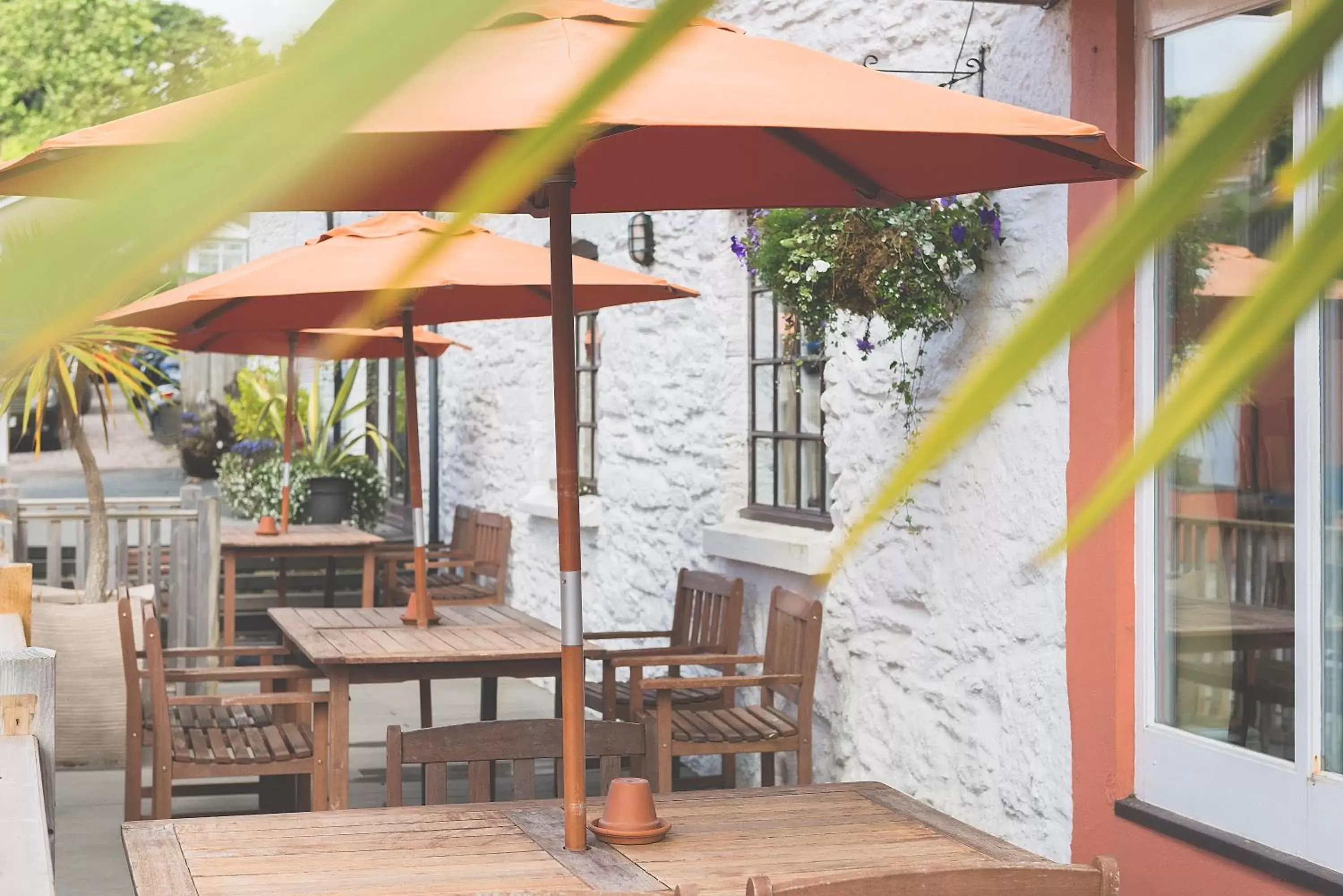 Garden, Restaurant/Places to Eat in Rose and Crown Yealmpton