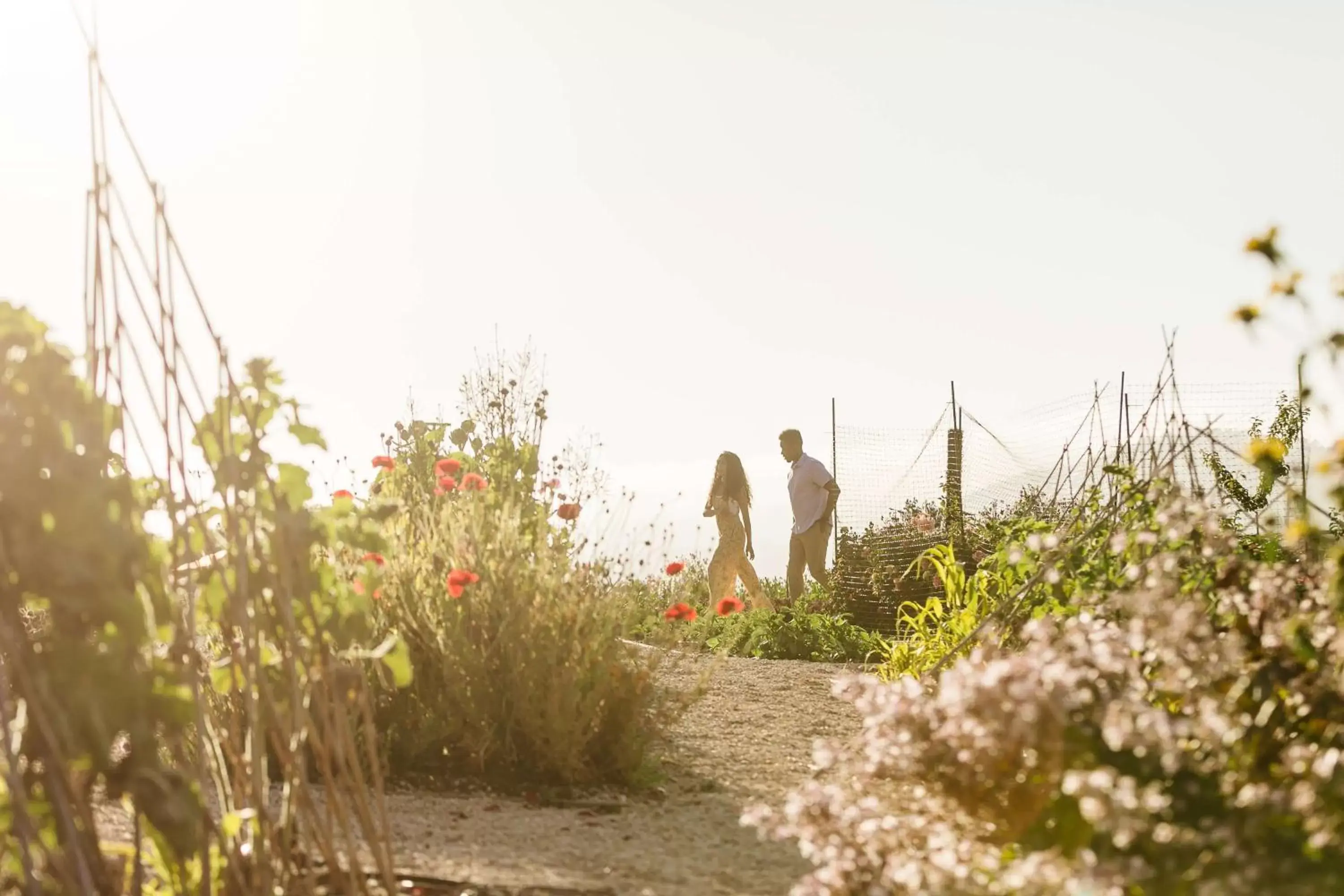 Carmel Valley Ranch, in The Unbound Collection by Hyatt