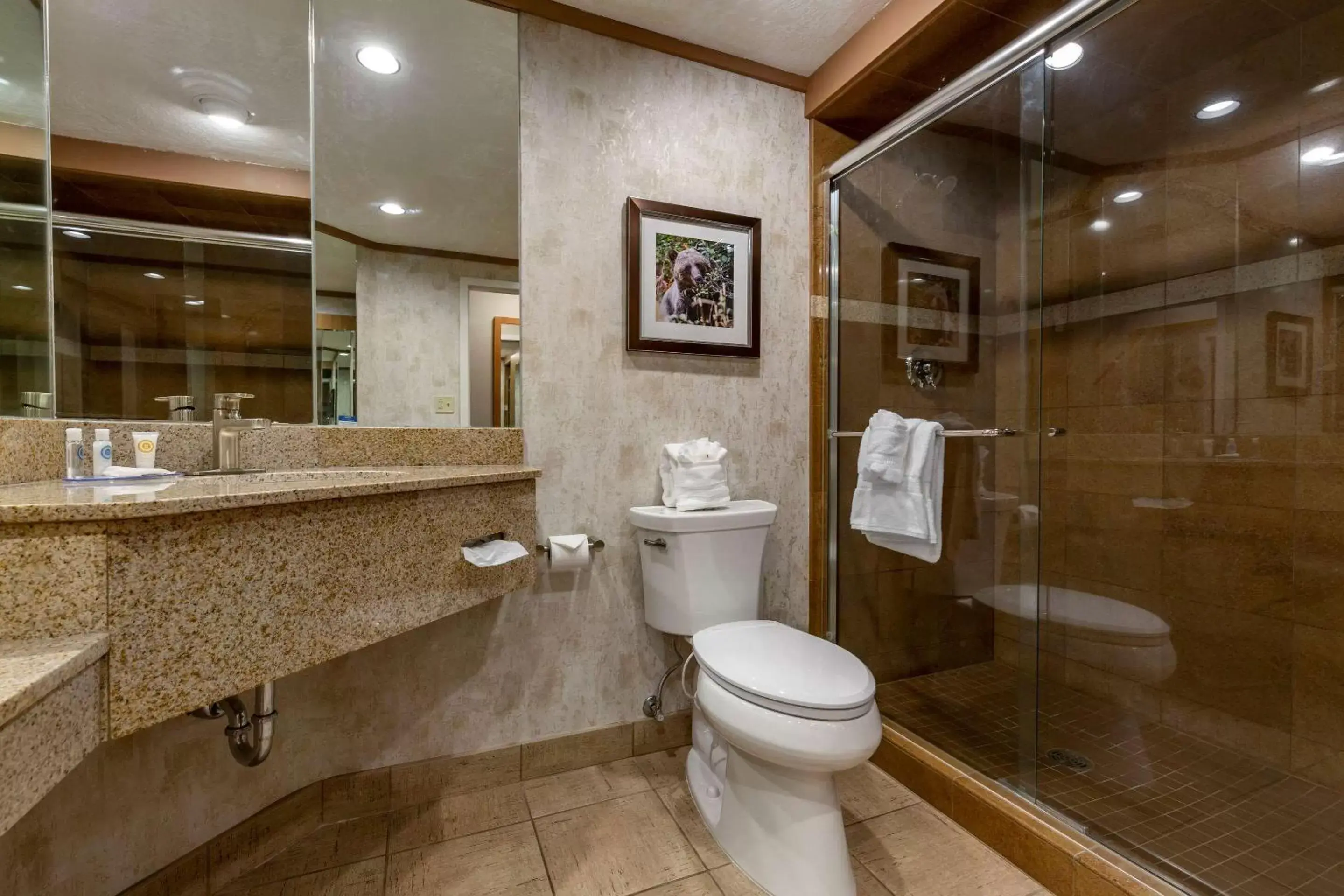 Bathroom in Comfort Inn