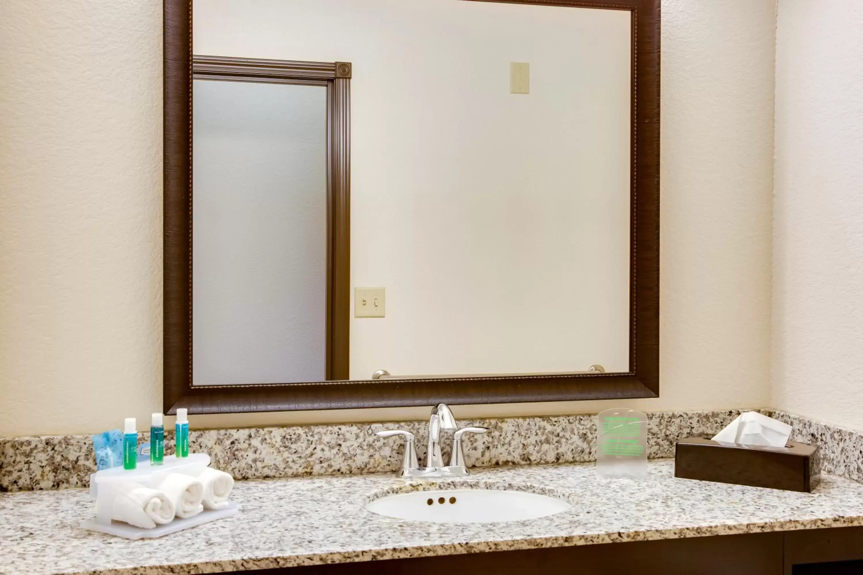 Bathroom in Holiday Inn Express & Suites Nevada, an IHG Hotel