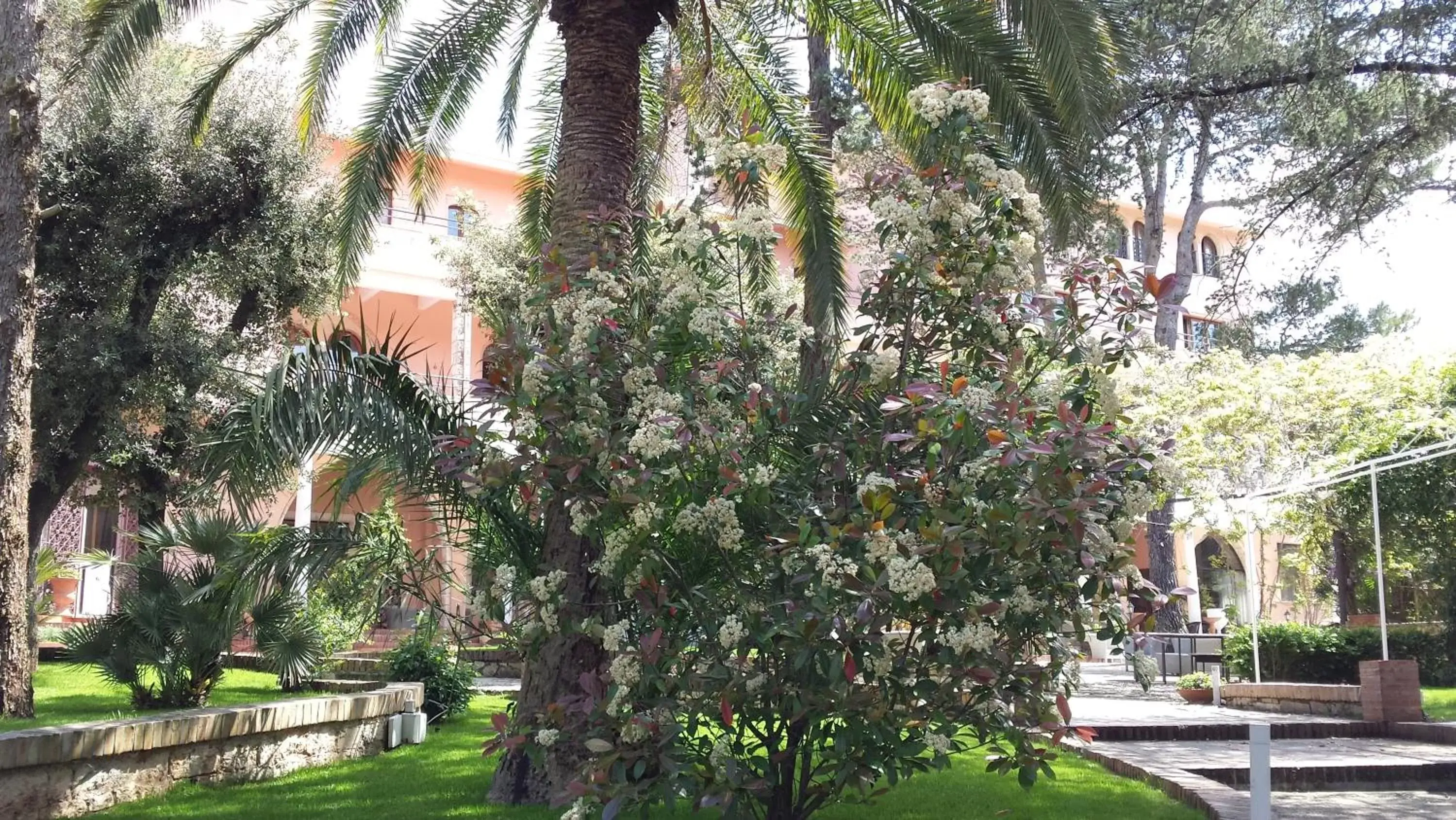 Garden in Park Hotel San Michele