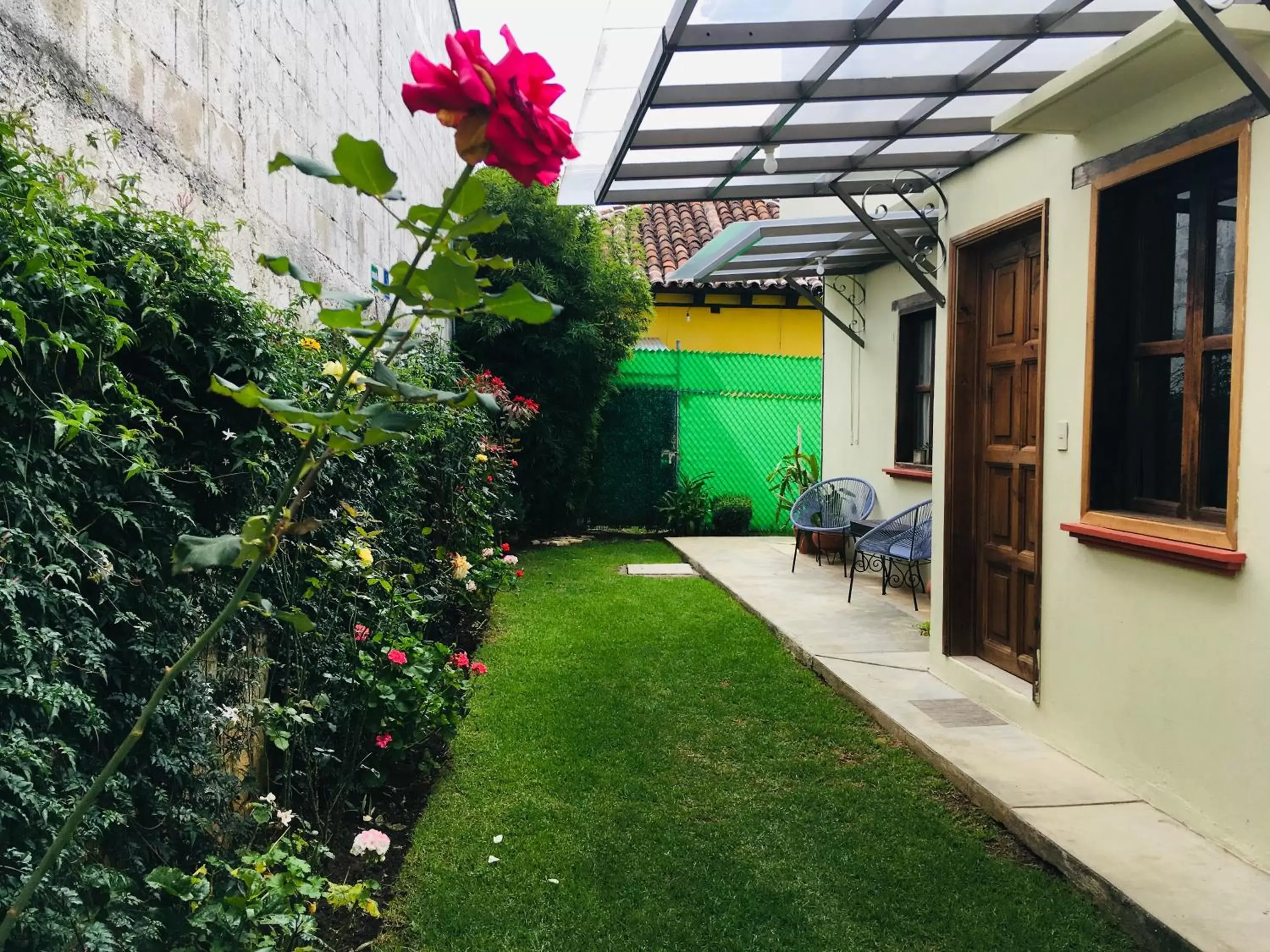 Garden view in Hotel Ocho Barrios