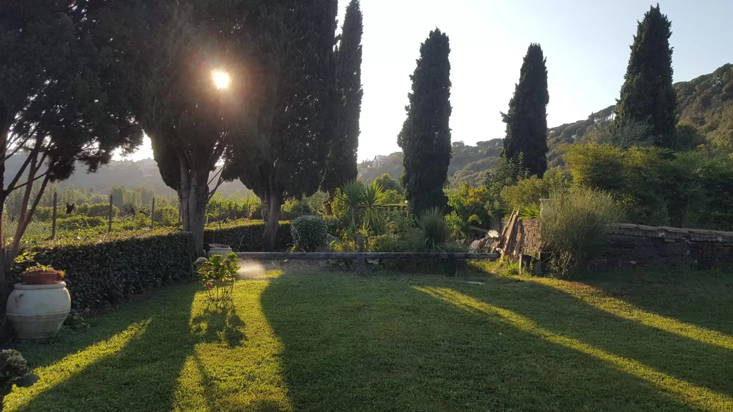 Garden in Il Nido del Falco