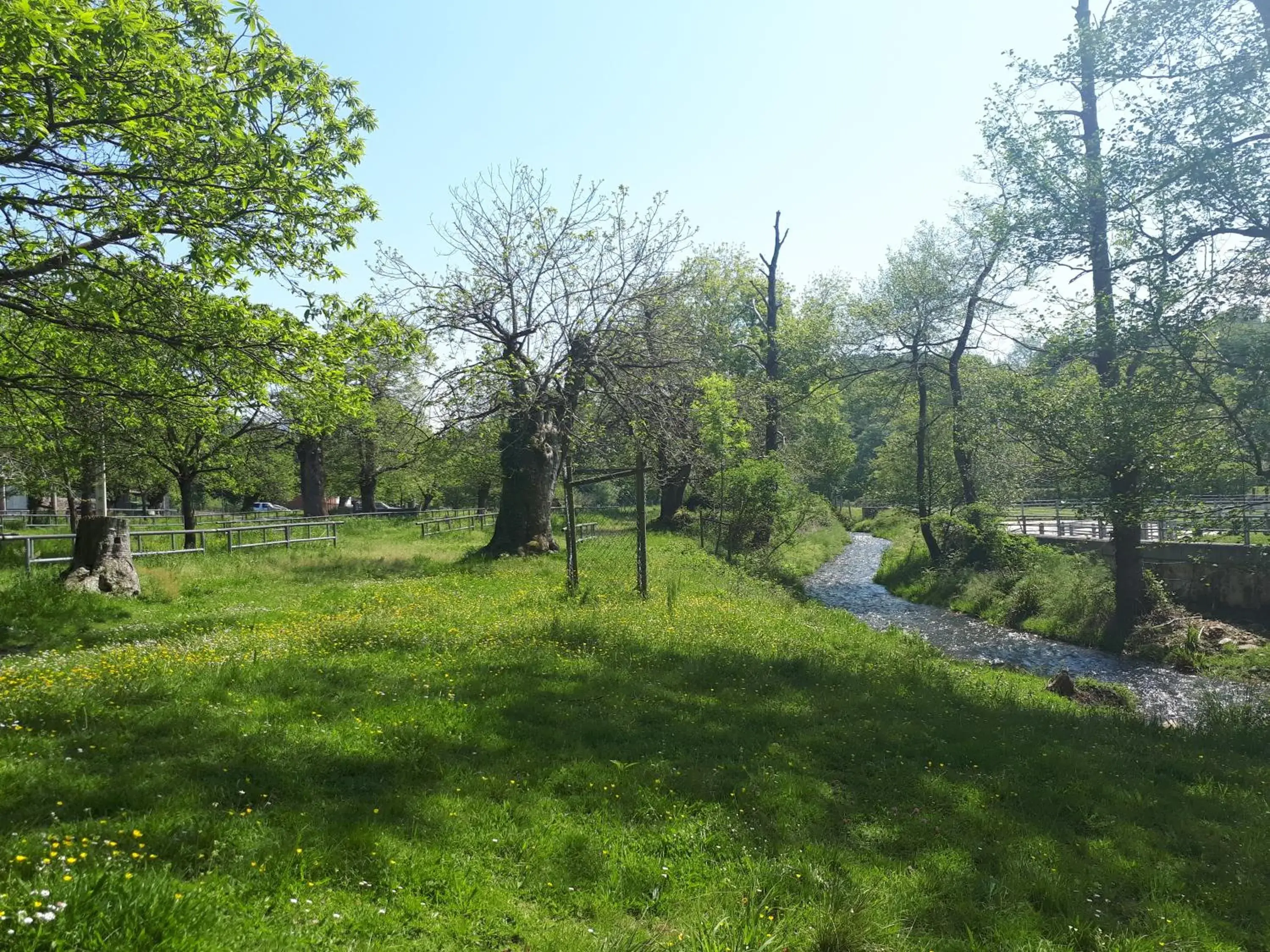 Natural landscape, Garden in Hotel Rural Entremontes