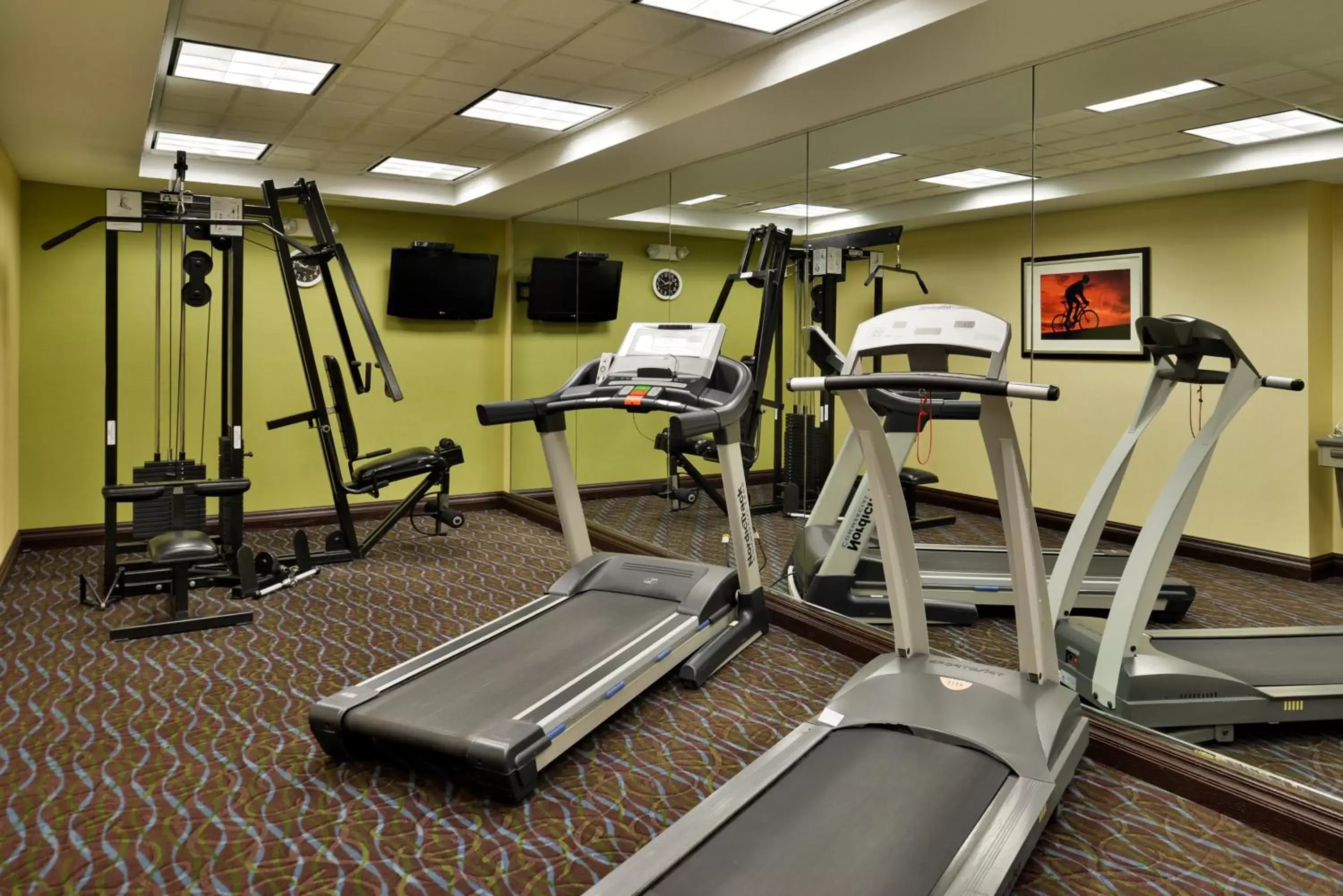 Fitness centre/facilities, Fitness Center/Facilities in Holiday Inn Express Hotel & Suites Charlotte, an IHG Hotel