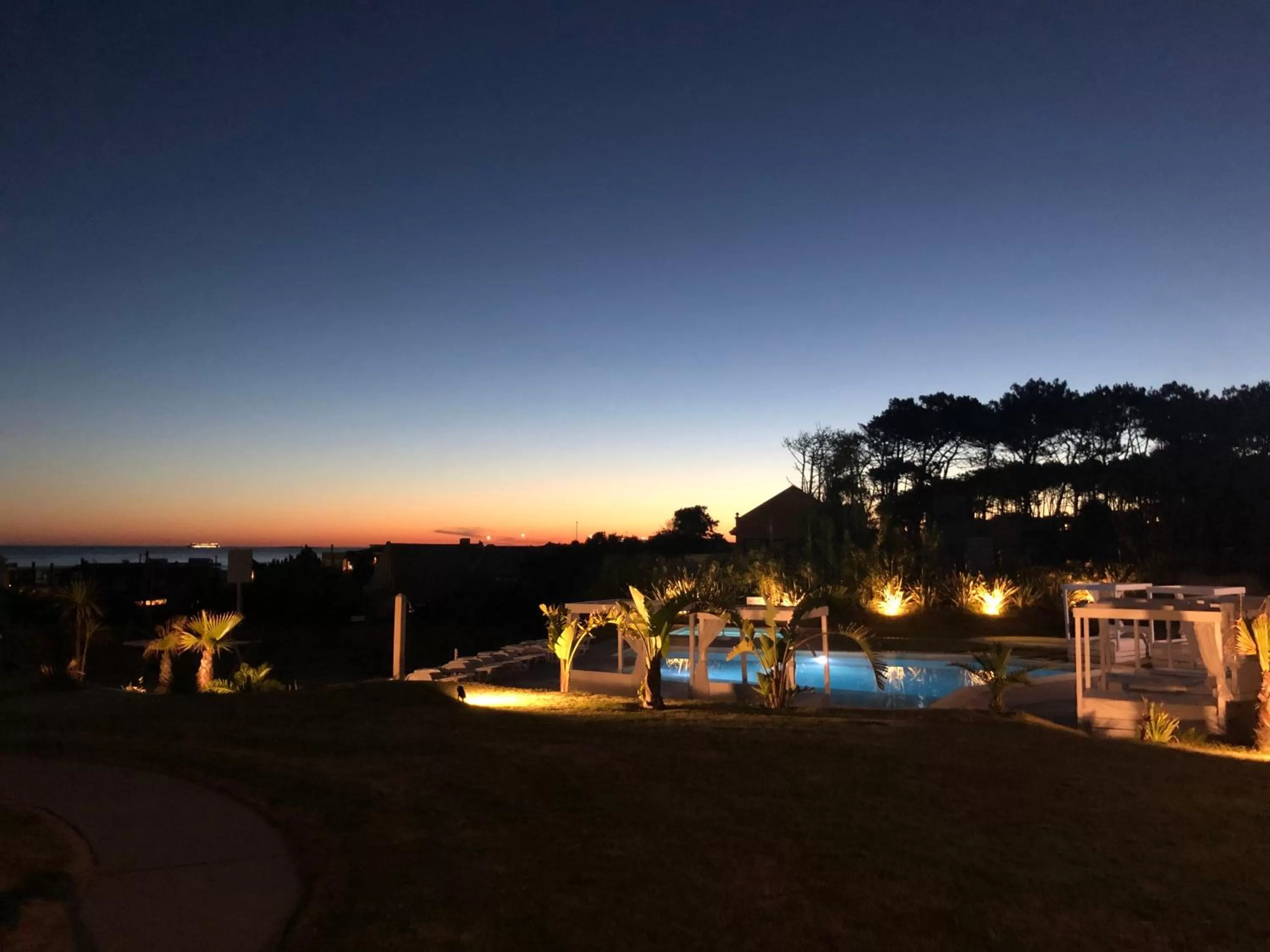 Night in Hotel Las Olas Resort