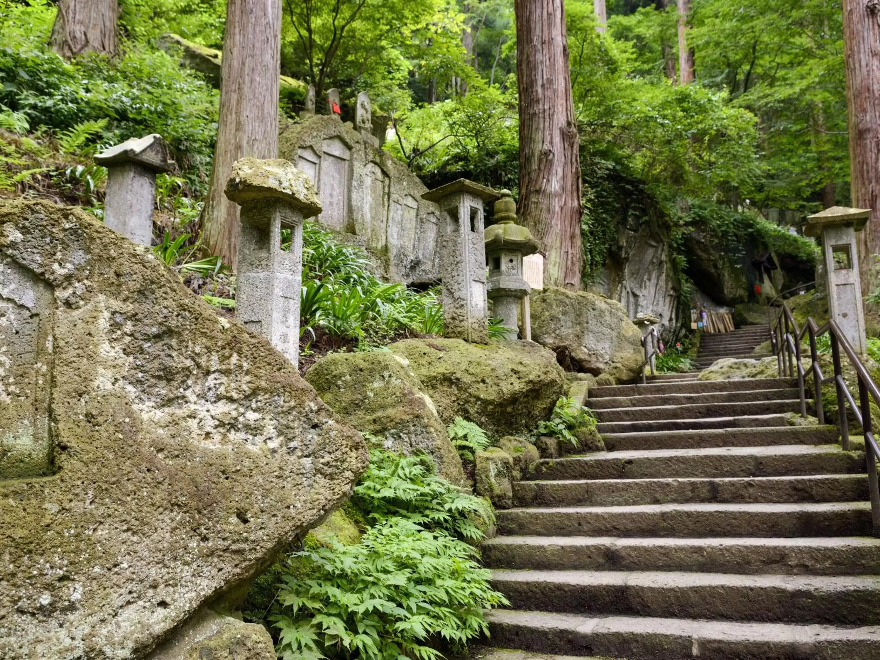 Natural Landscape in Hotel Green Line