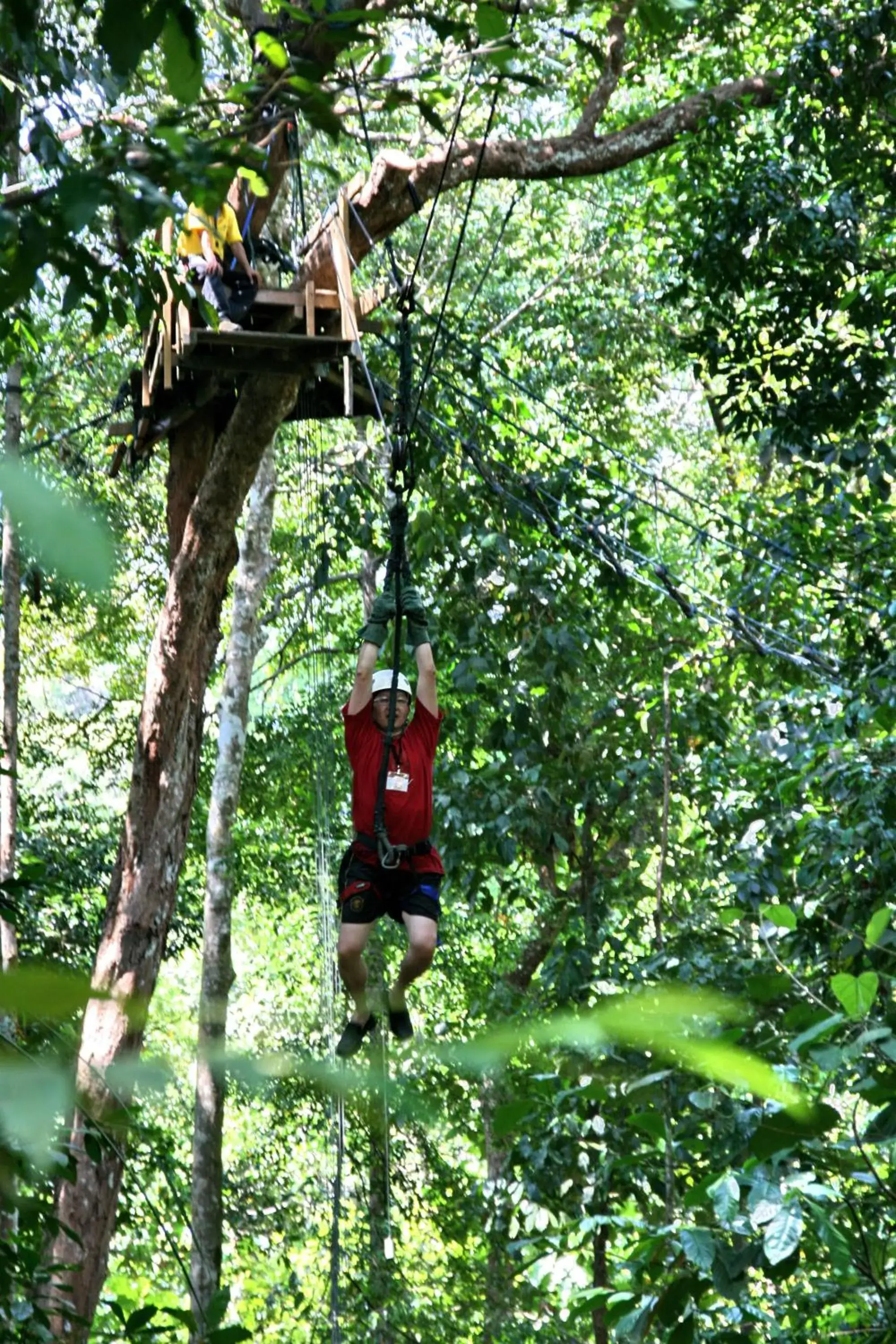 Day in Permai Rainforest Resort