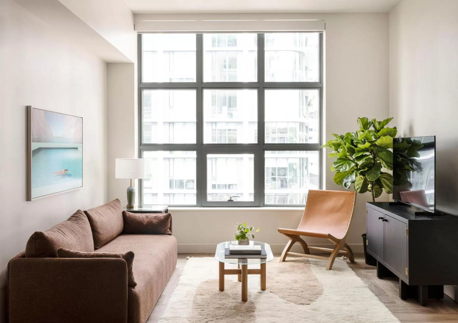 TV and multimedia in ROOST Tampa