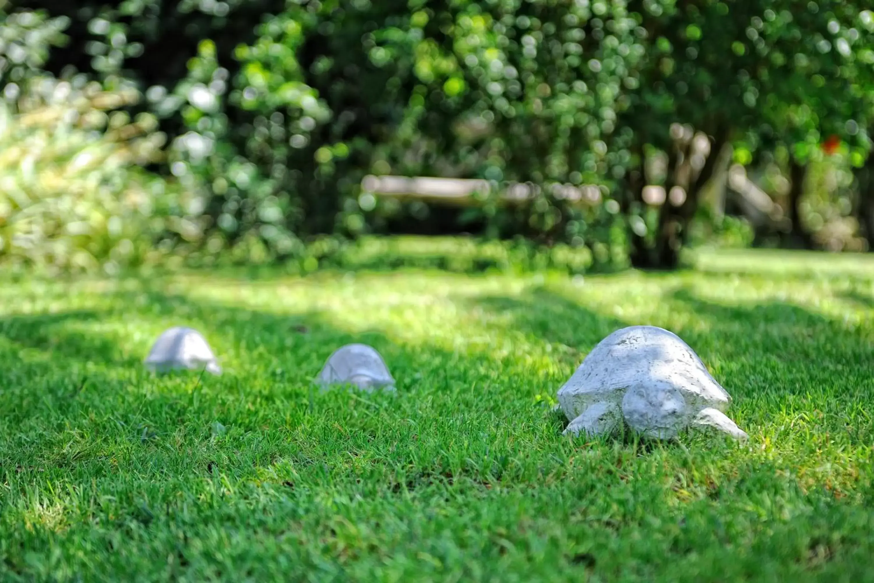 Garden, Other Animals in Lodge de Charme A Cheda