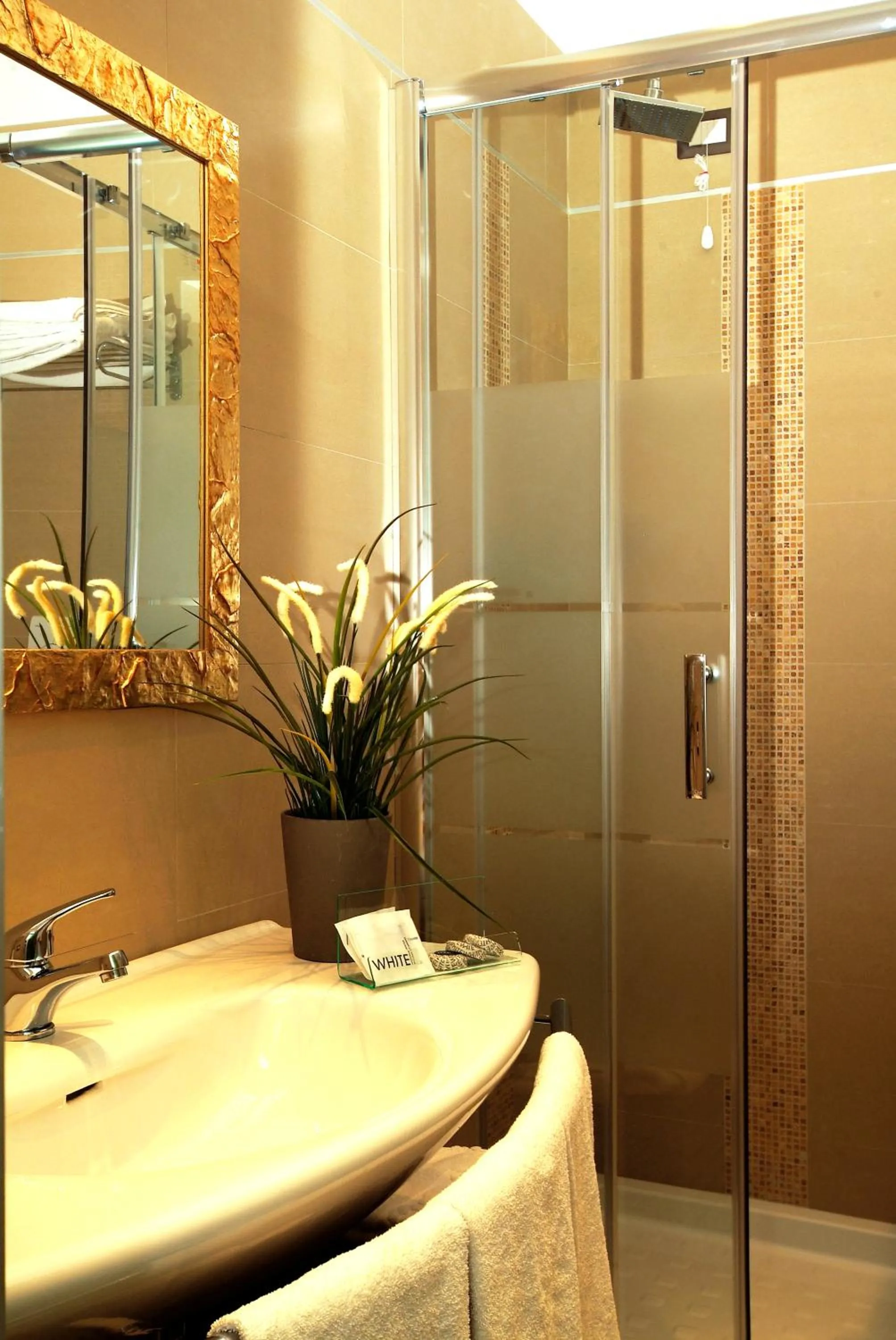 Bathroom in Hotel Argentina