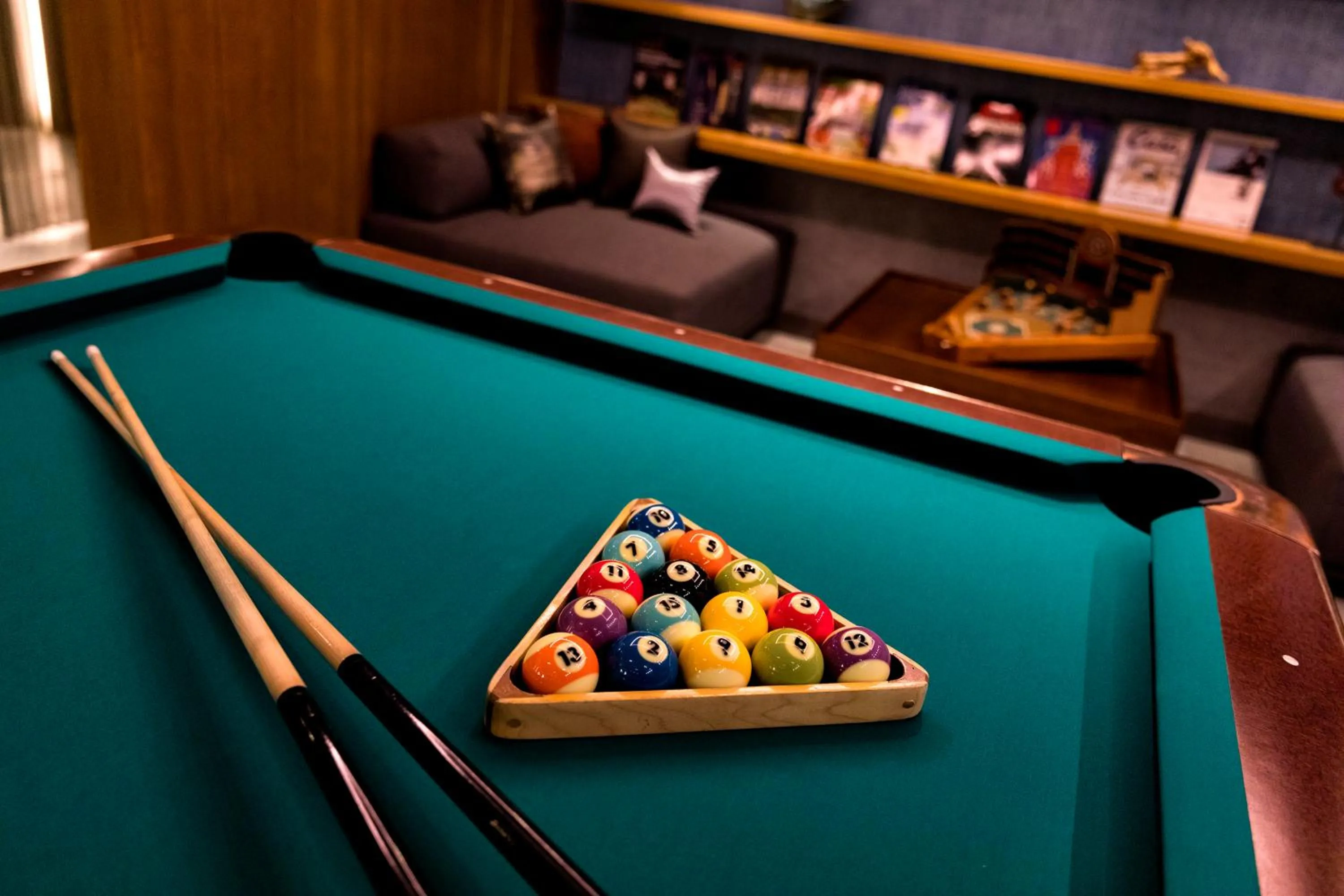 Billiard in Kitayuzawa Mori no soraniwa