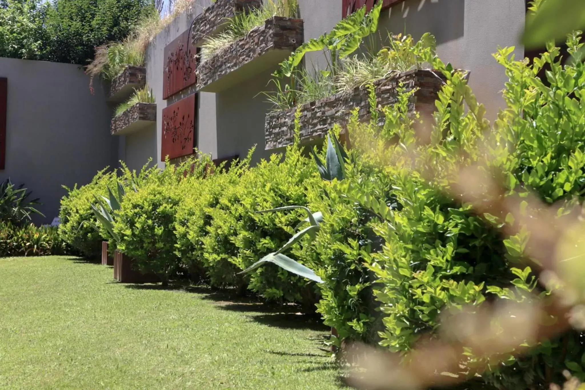 Garden, Property Building in Cottage Puerto Buceo