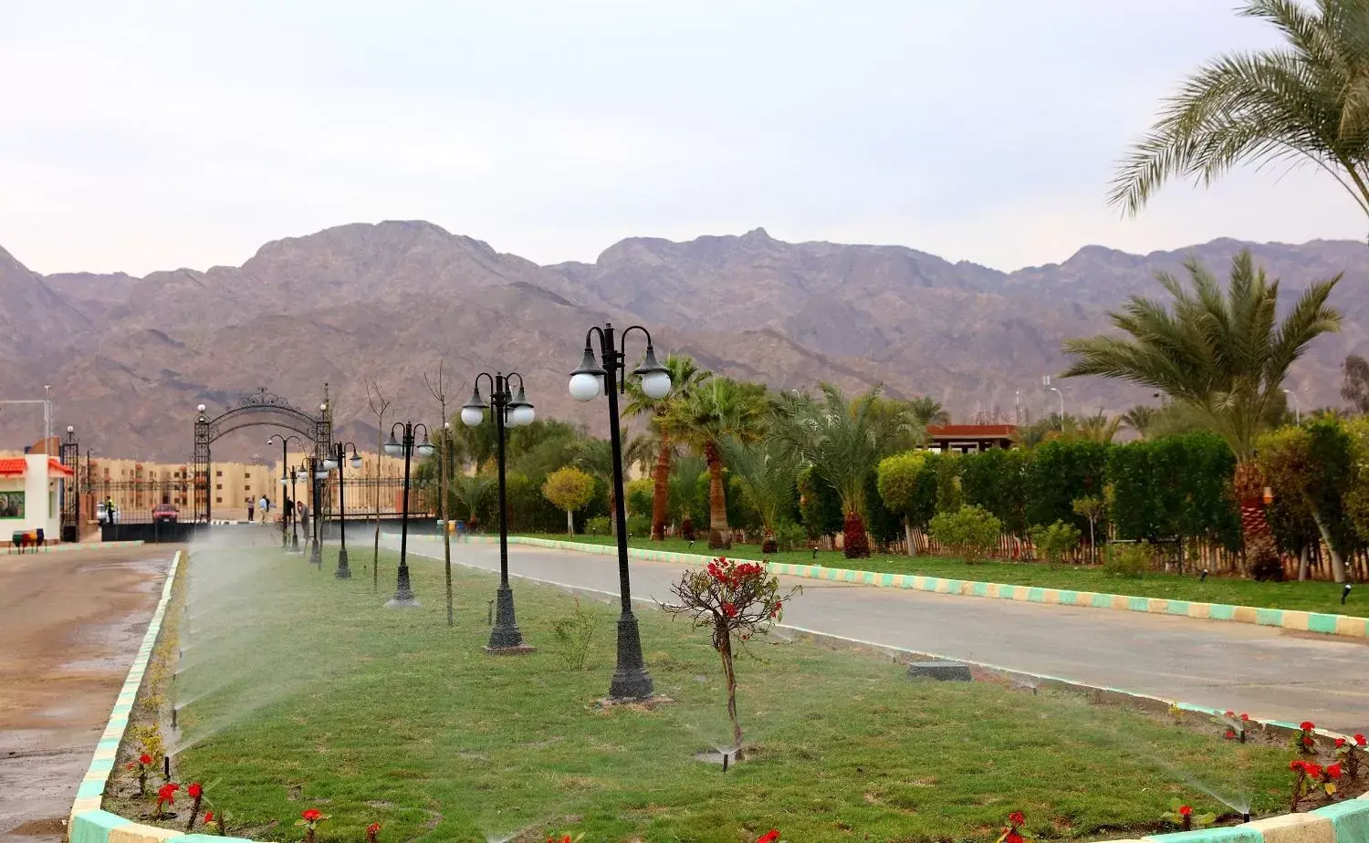 Garden in Nuweiba Club Resort