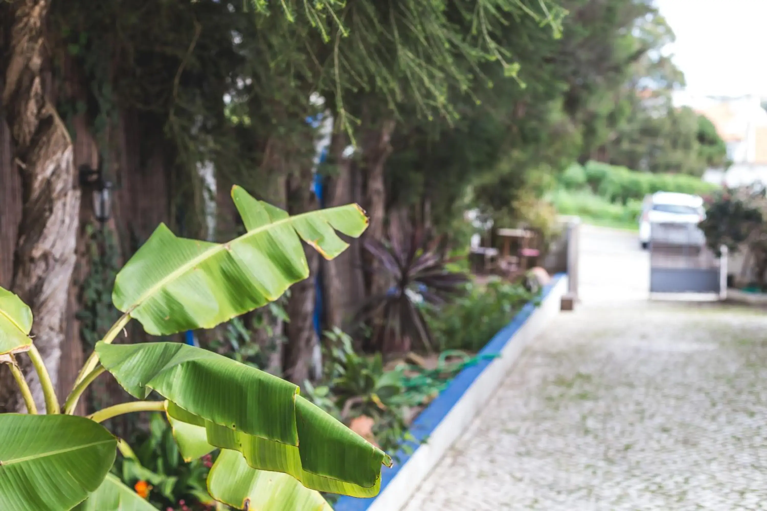 Garden in Ericeira Chill Hill Hostel & Private Rooms