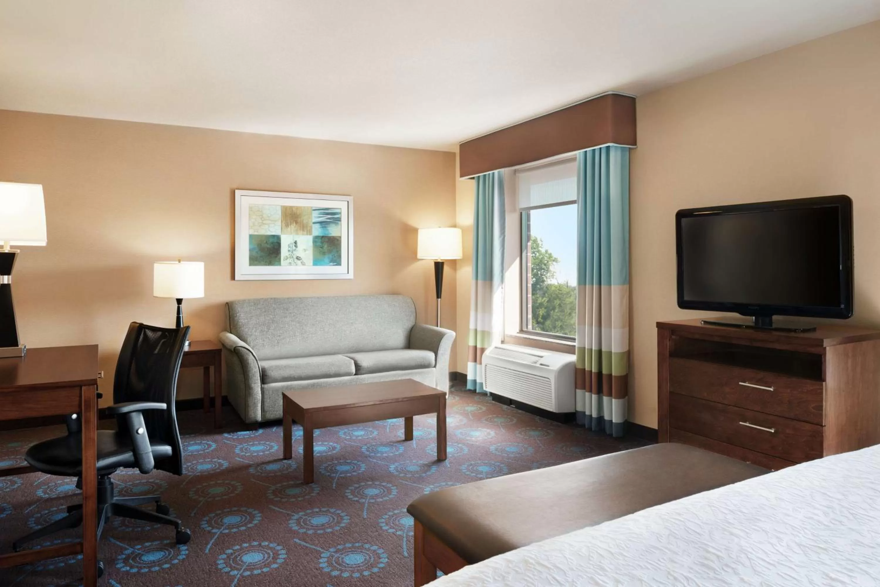 King Studio Suite with Sofa Bed and Bath Tub - Non-Smoking in Hampton Inn & Suites Grafton