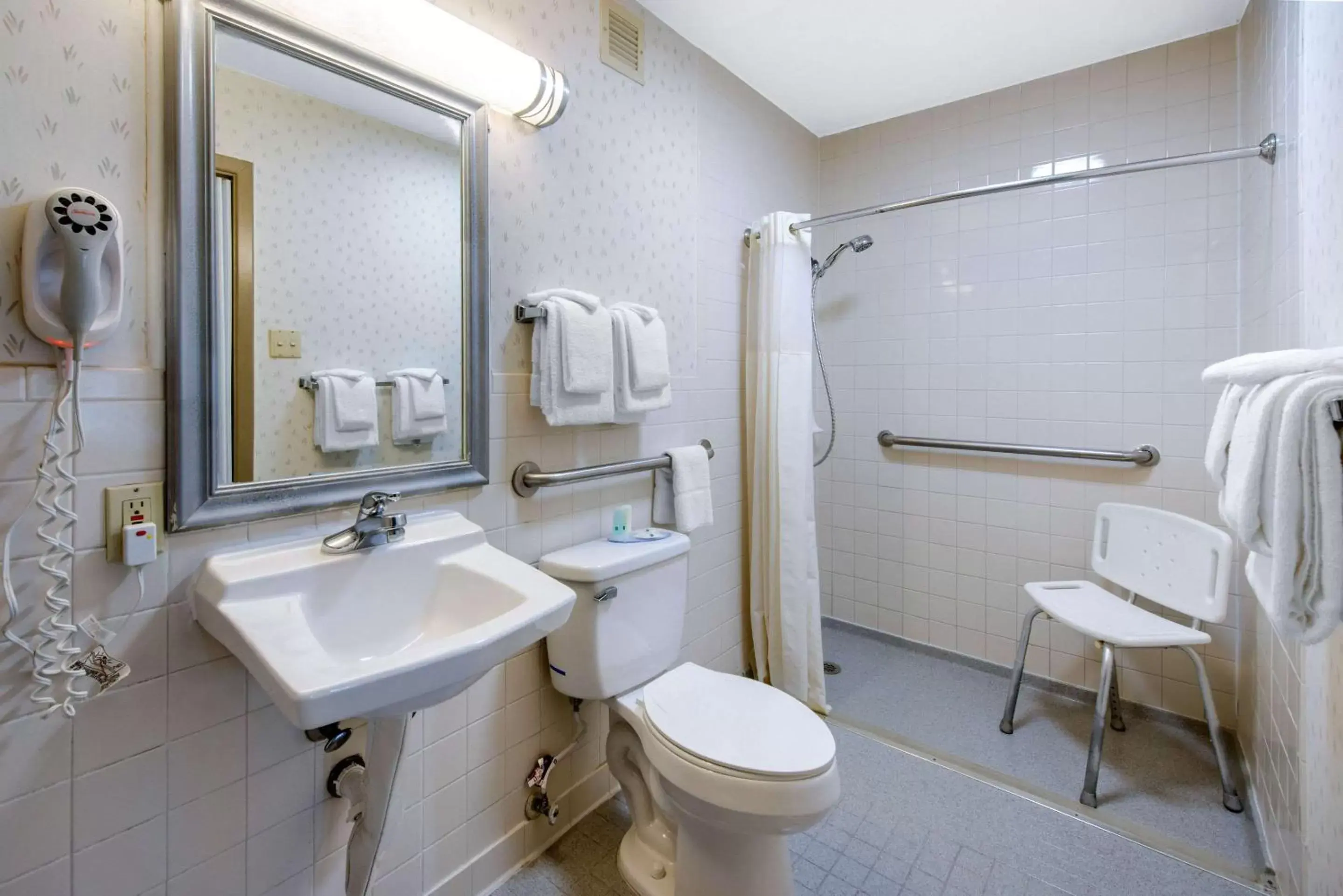Bathroom in Quality Inn & Suites Brooksville I-75/Dade City