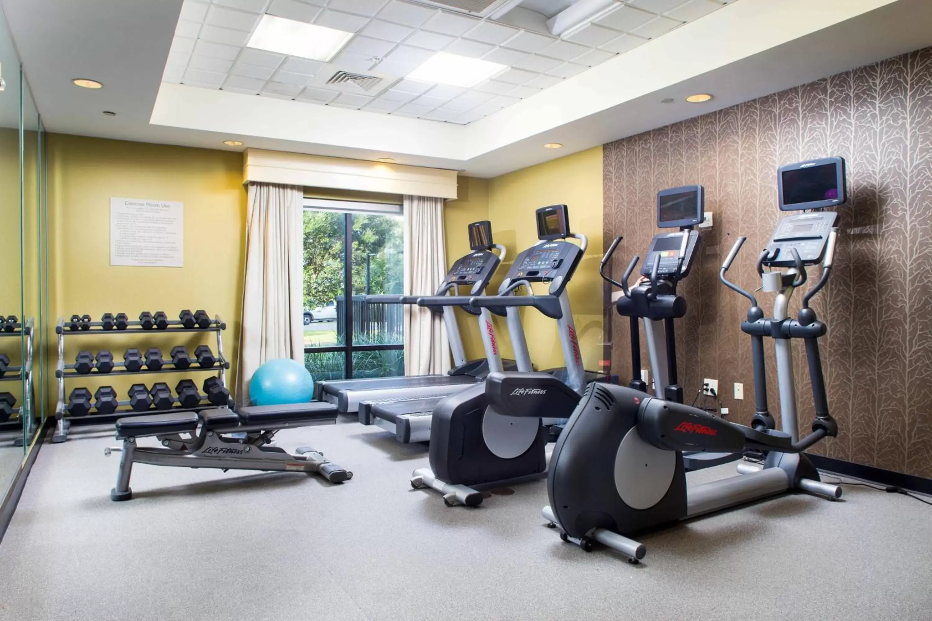 Fitness centre/facilities, Fitness Center/Facilities in SpringHill Suites Savannah Airport