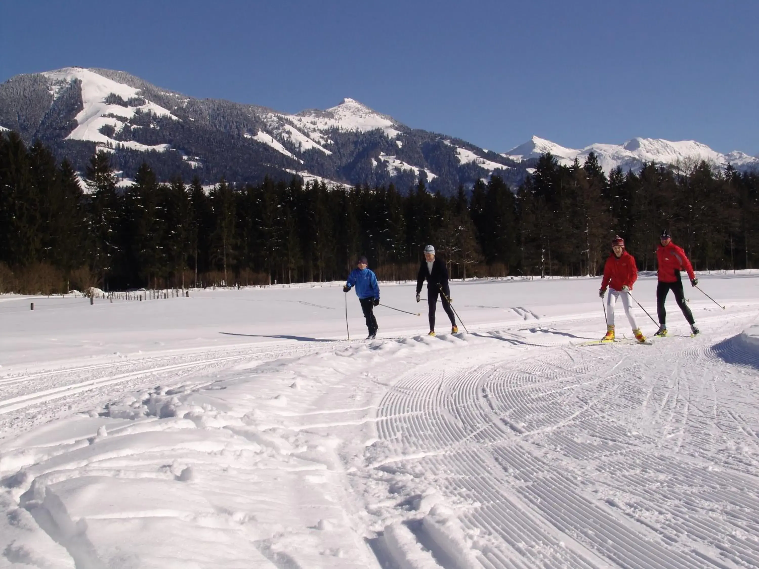 Skiing in Landhotel Schermer