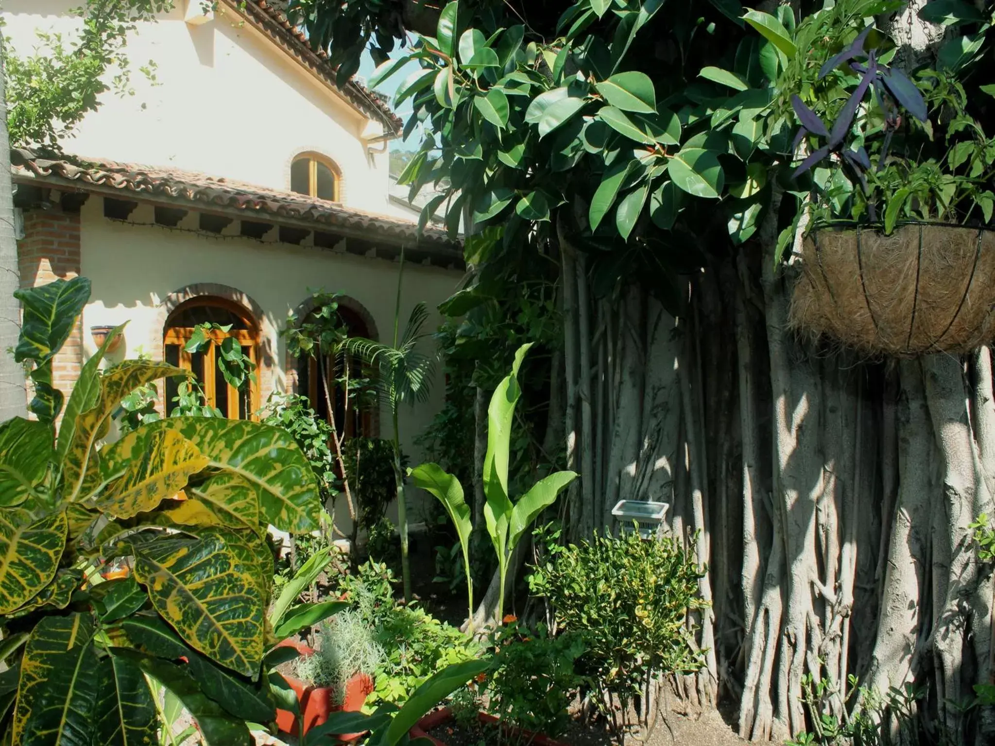 Patio, Property Building in Hacienda Escondida Puerto Vallarta