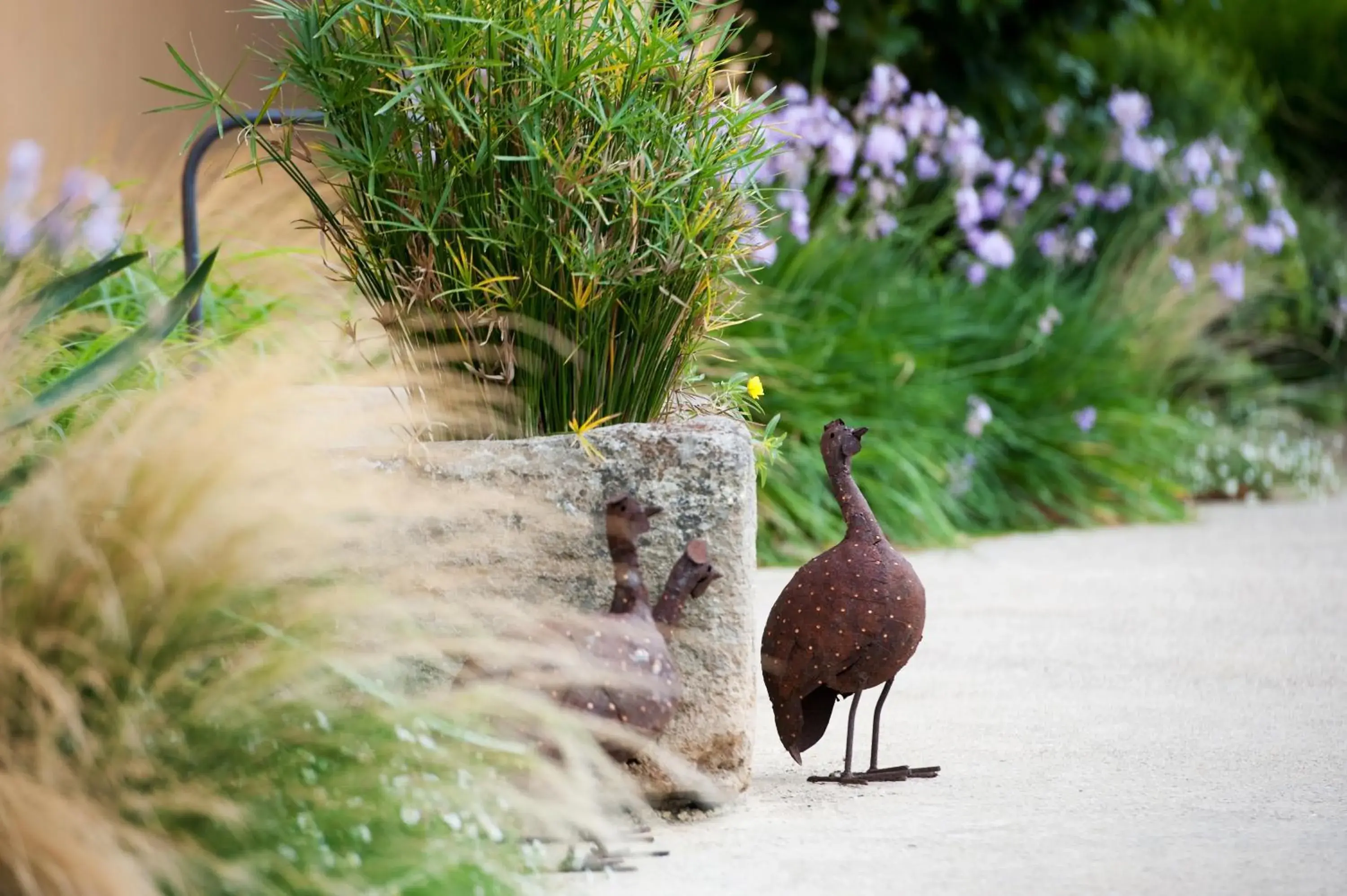 Day, Other Animals in Aquae Sinis Albergo Diffuso