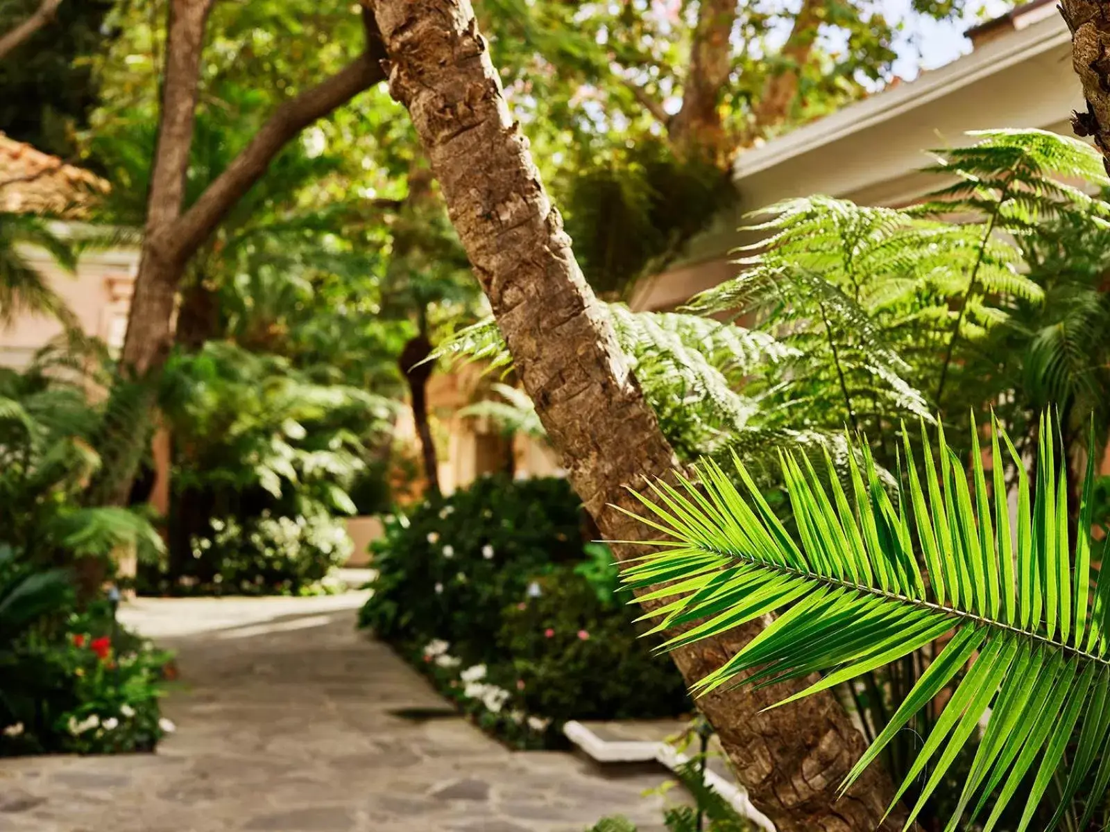 Garden, Property Building in Hotel Bel-Air - Dorchester Collection