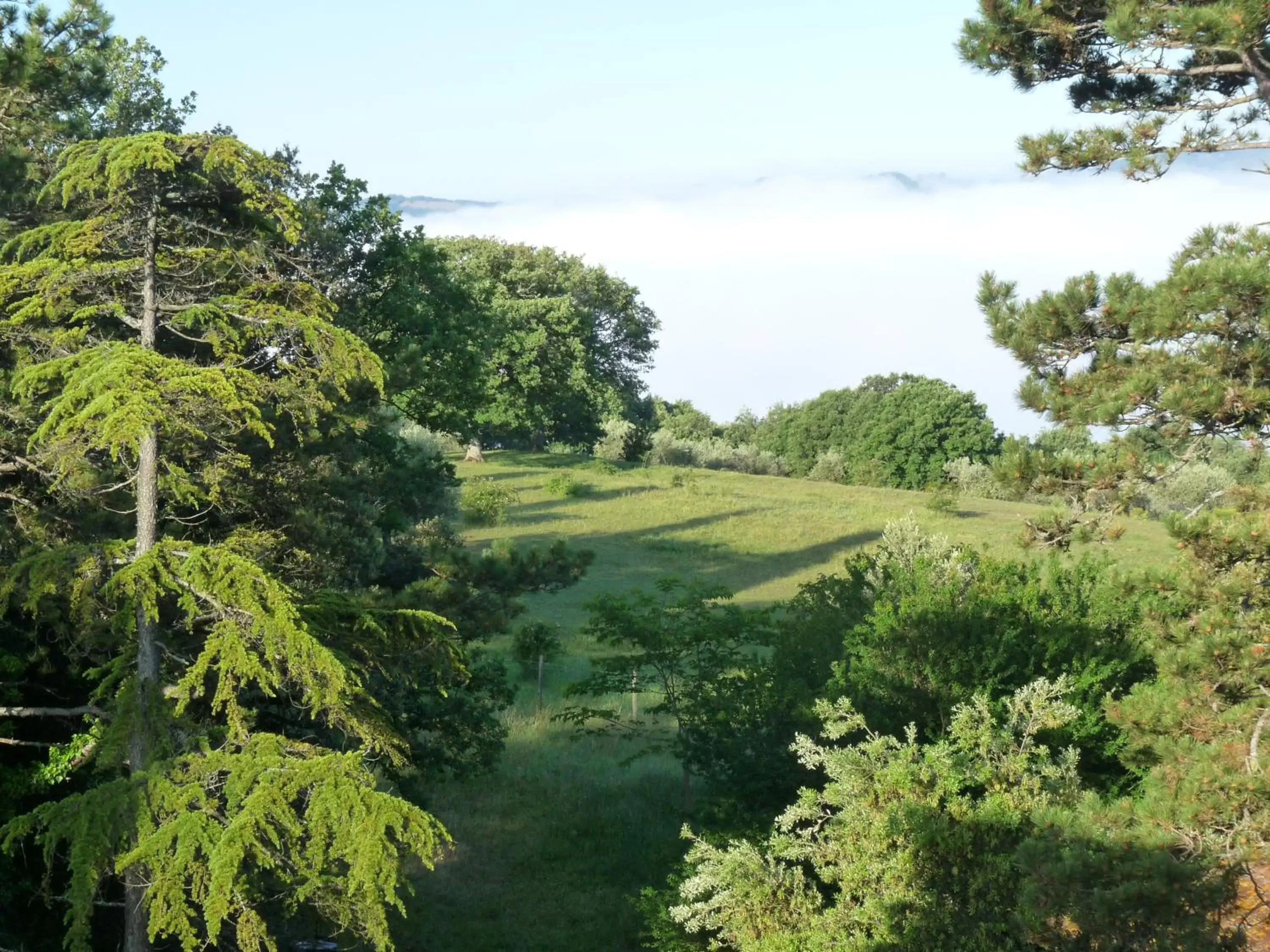 View (from property/room) in Castello Di Giomici