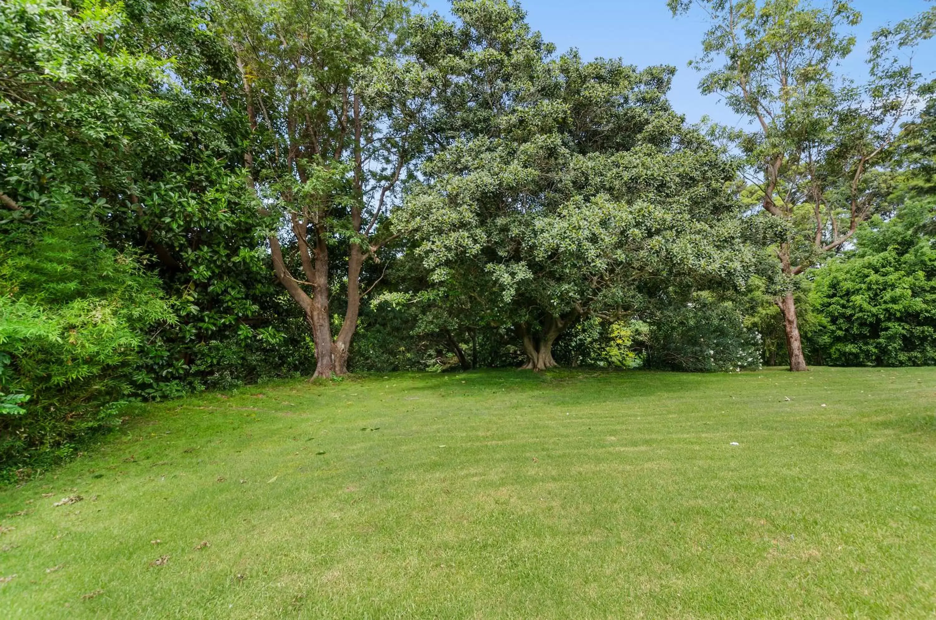 Garden in Solomon Inn Motel Figtree