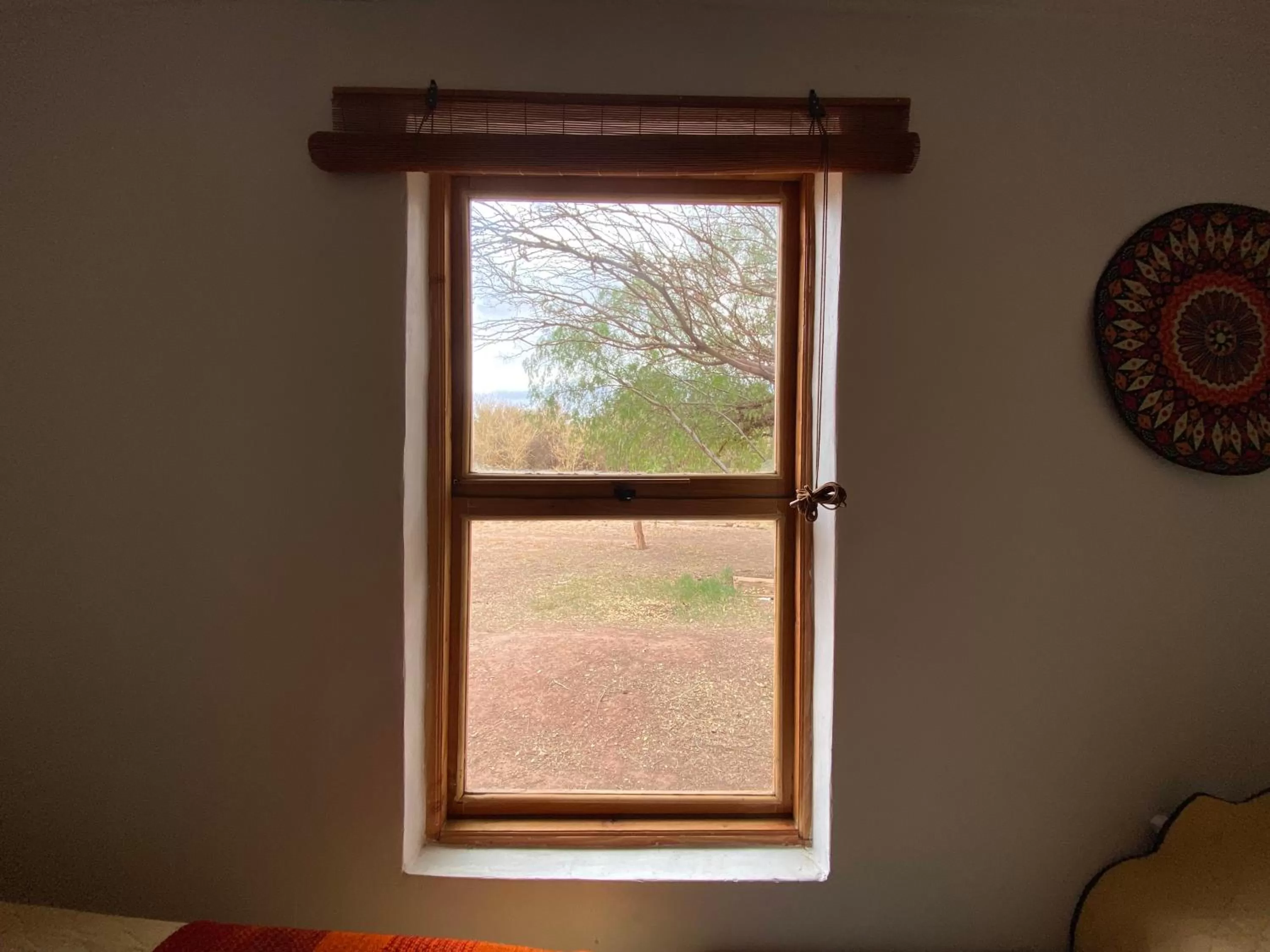 View (from property/room) in CaminAndes Hostal