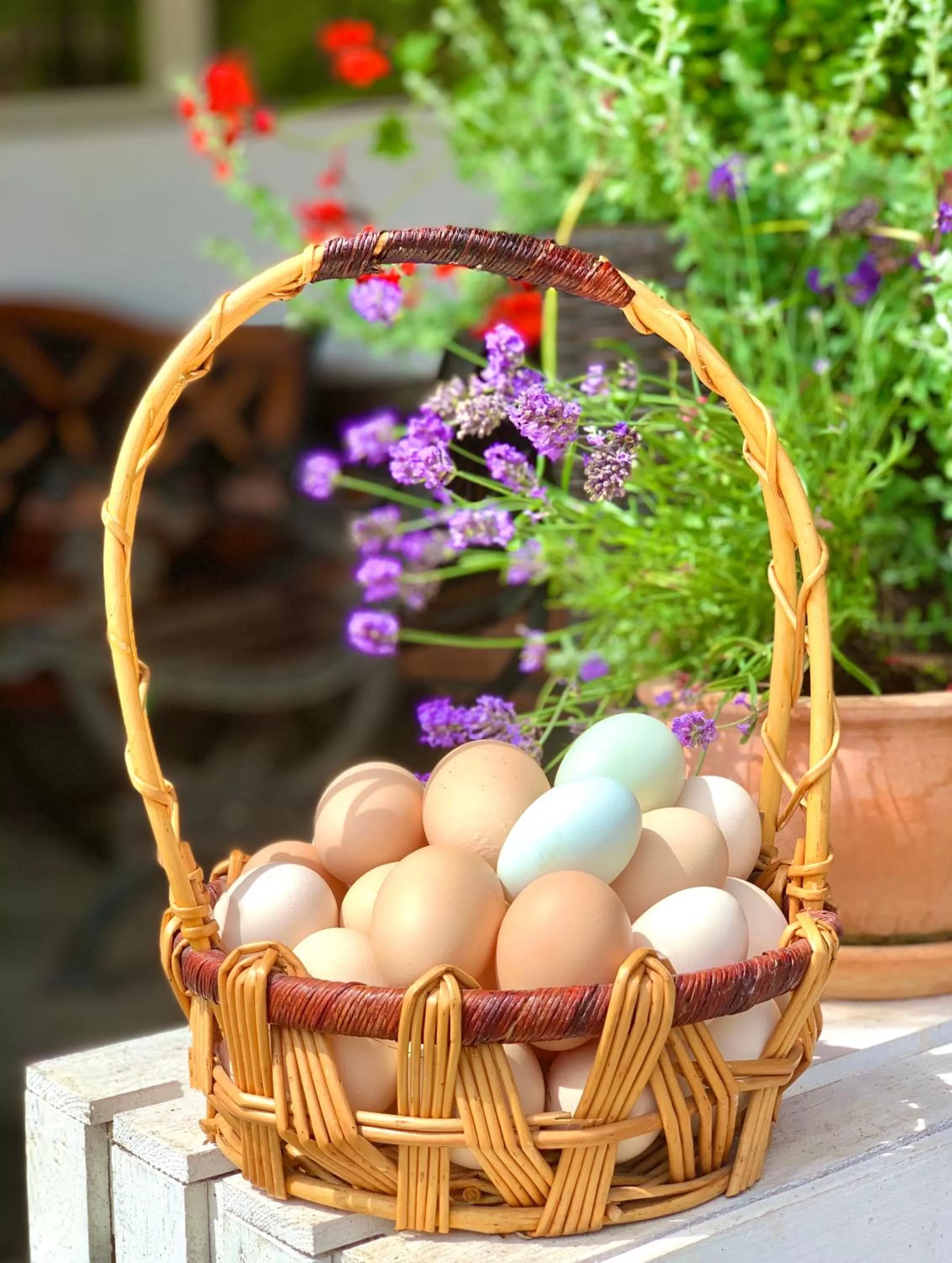 Food and drinks in Ziołowa Dolina