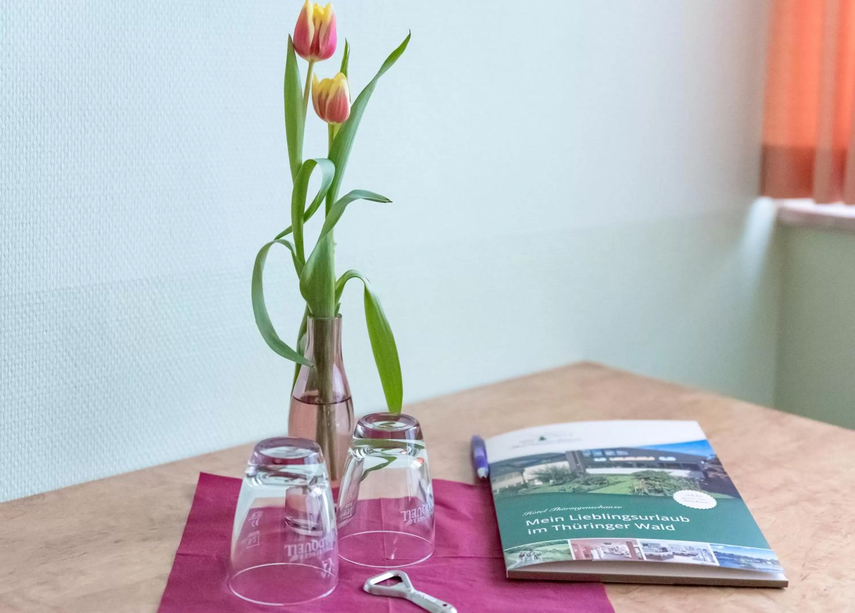 Photo of the whole room in Hotel Thüringenschanze