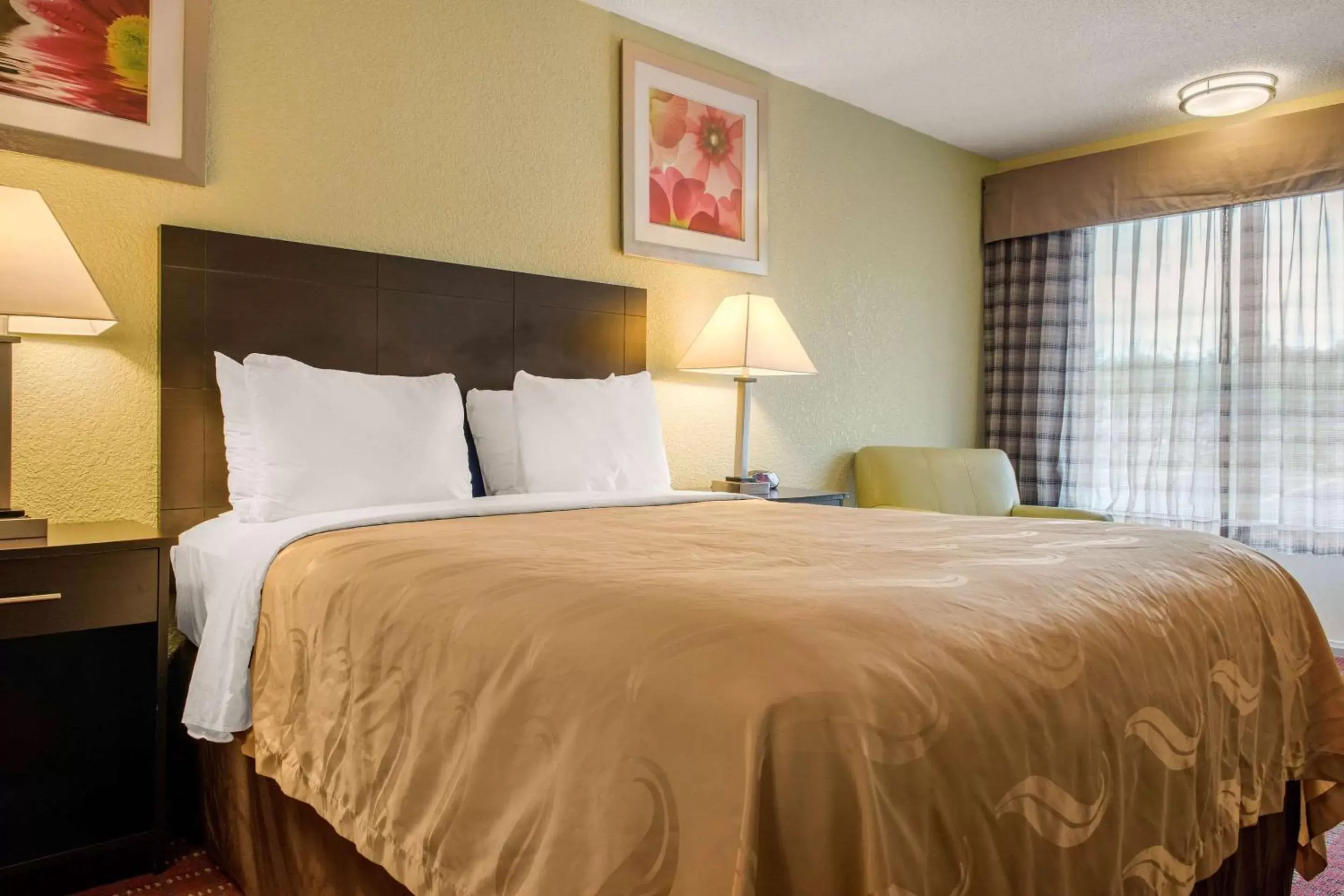 Photo of the whole room, Bed in Quality Inn Photo of the whole room, Bed in Quality Inn